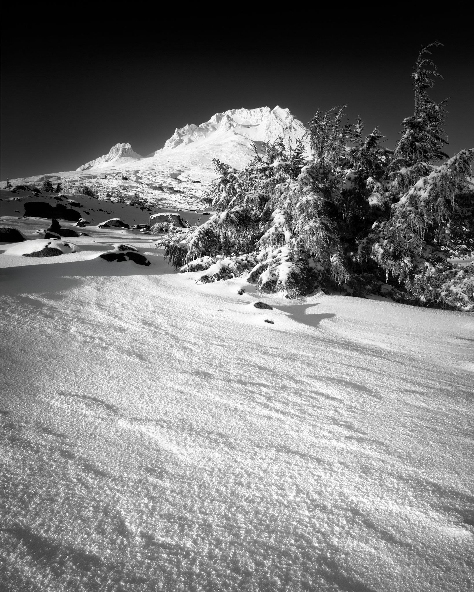 _DSC1835.png