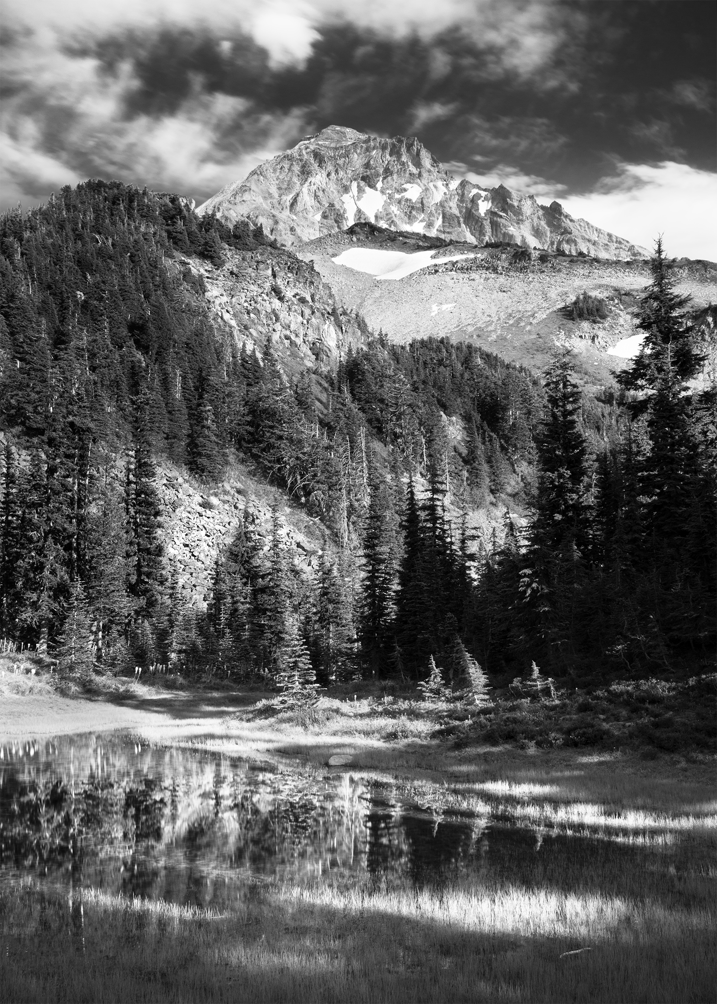 _DSC0741-BW.png