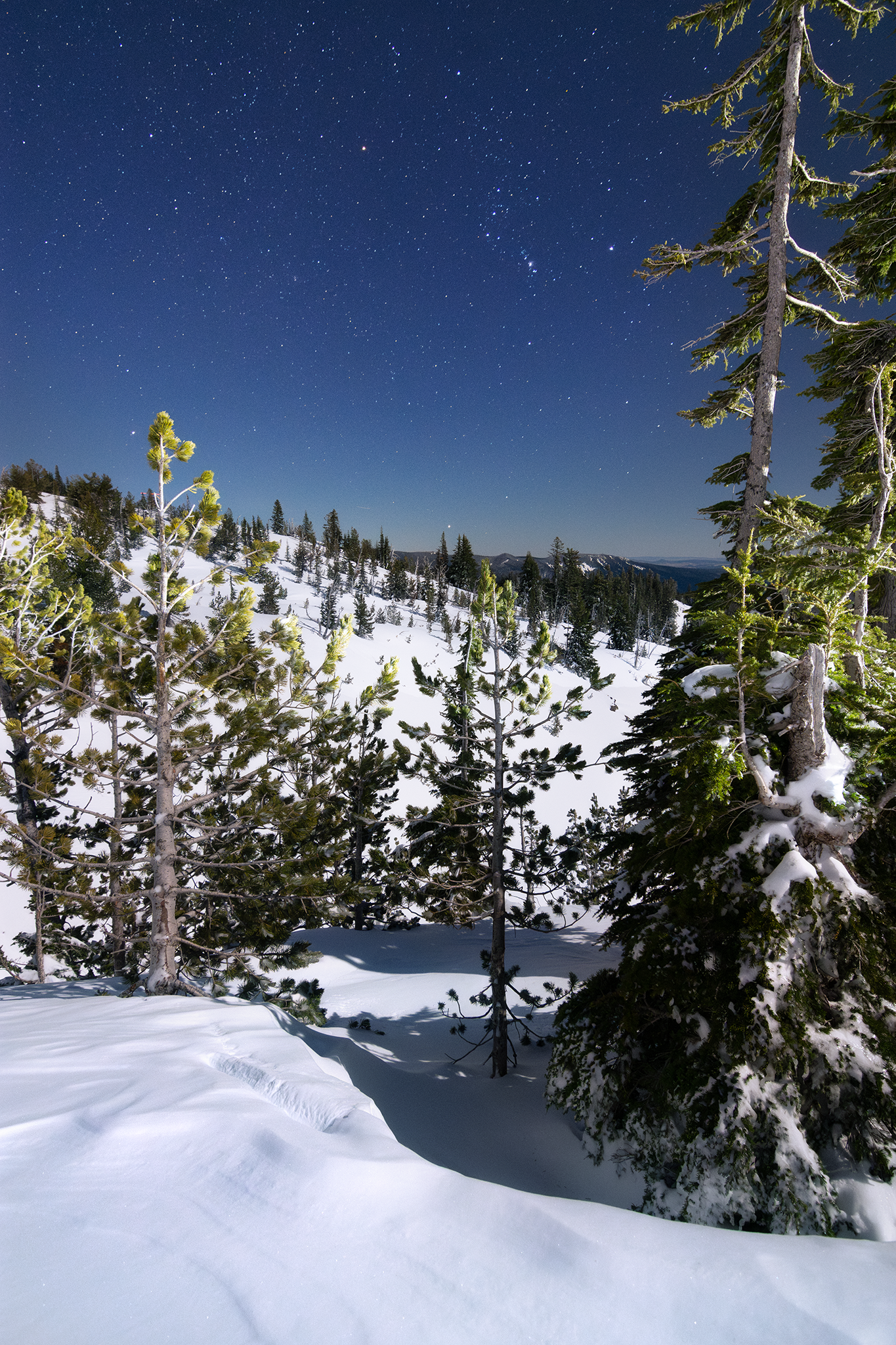 _DSC6255-2.png