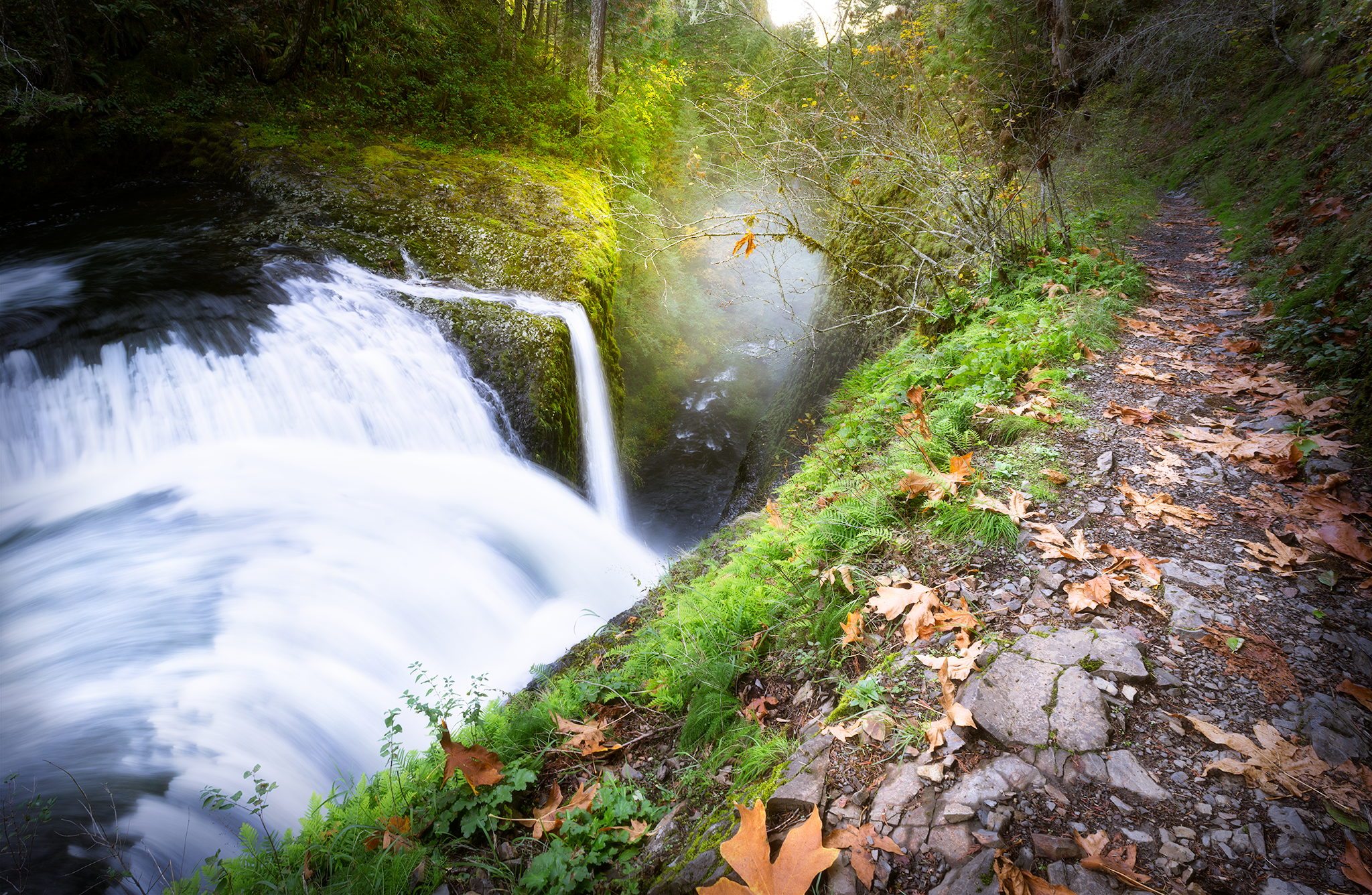 DSC_9749-2.png