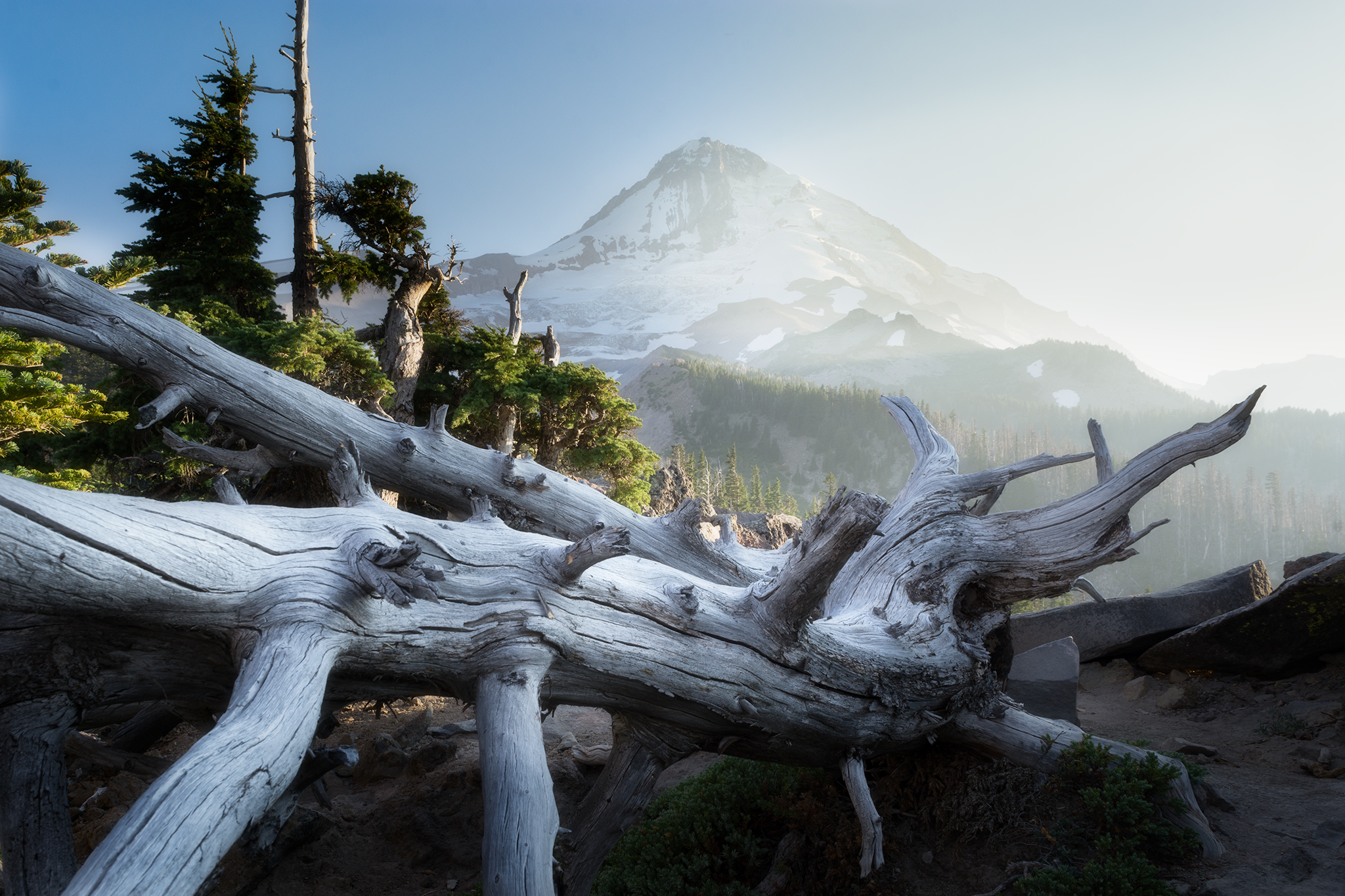 _DSC6948-Orton.png