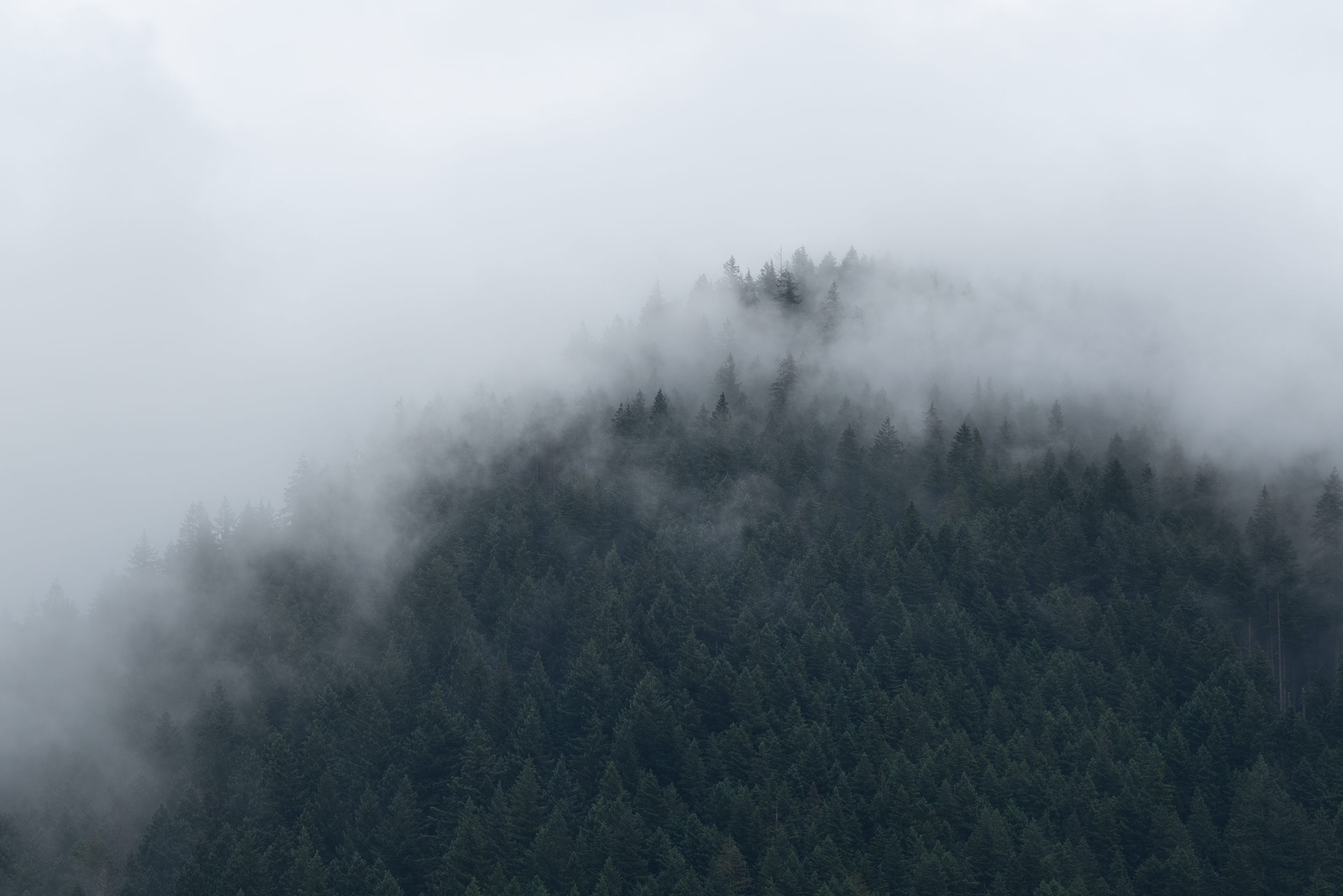 _DSC0125.png