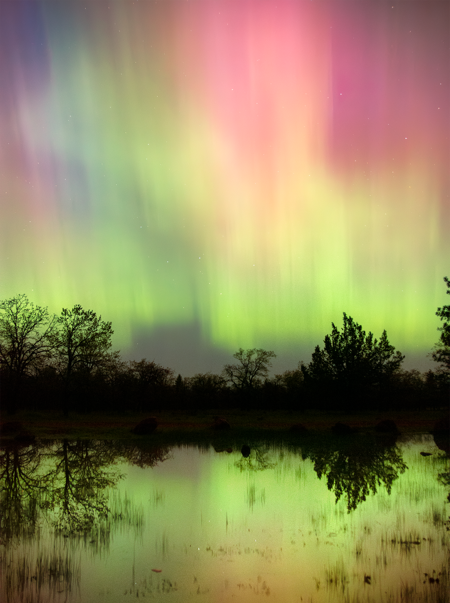 _DSC5284-2.png