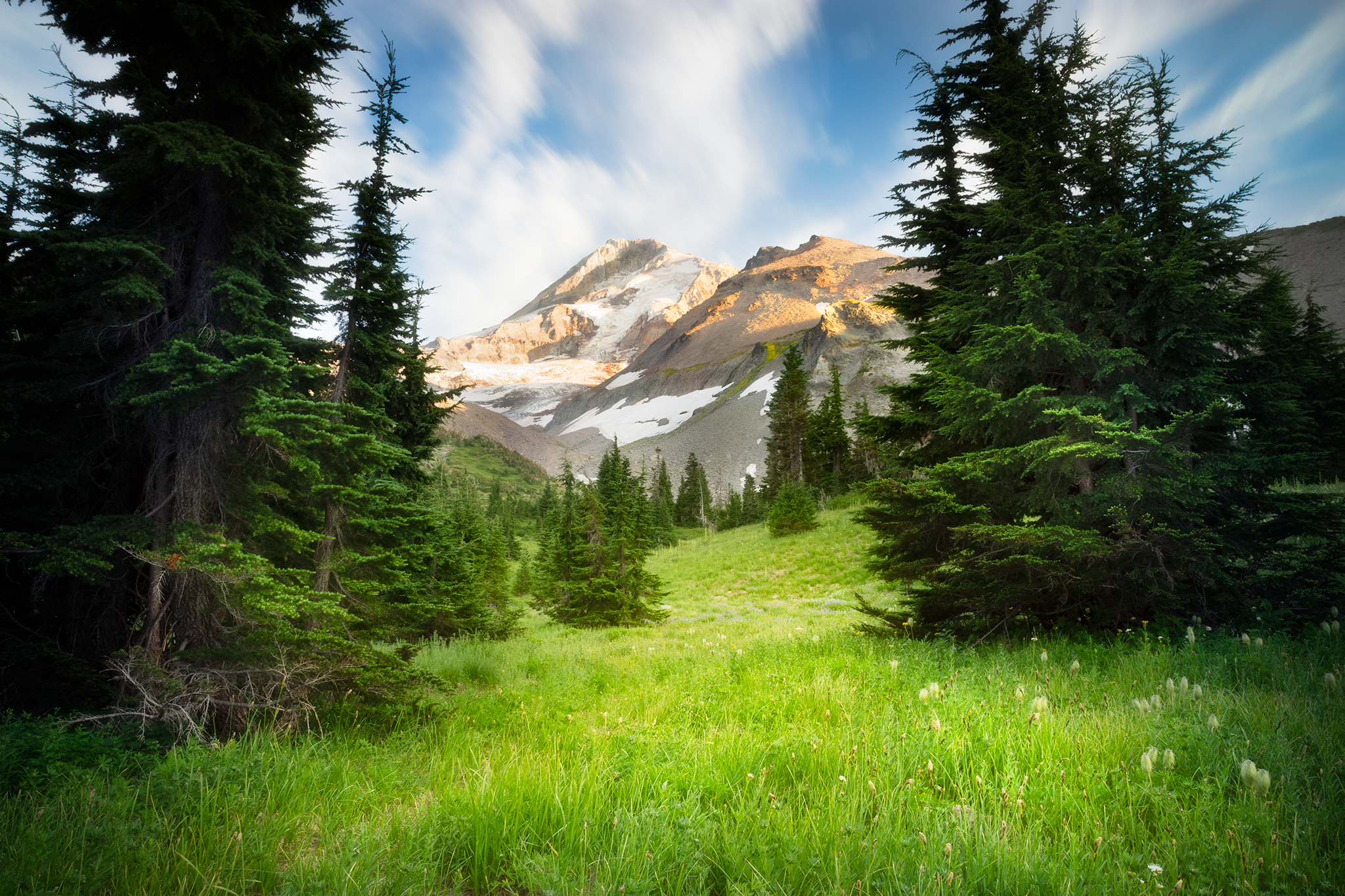 _DSC0677.png