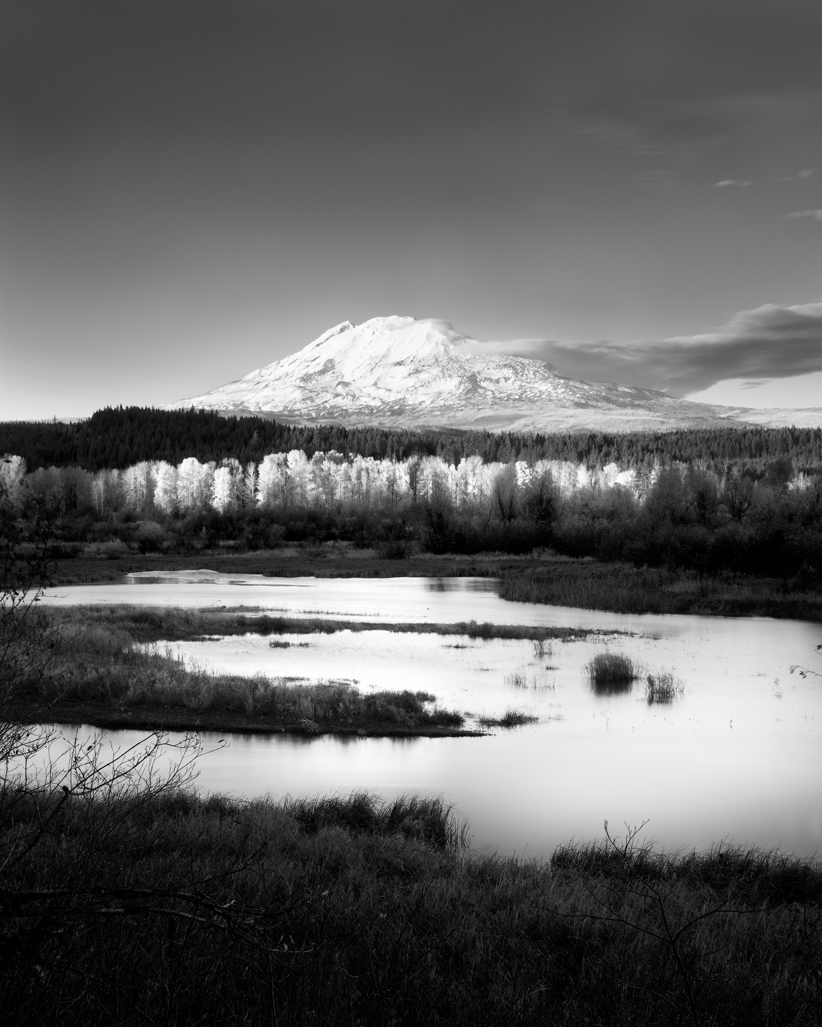 _DSC1770.png