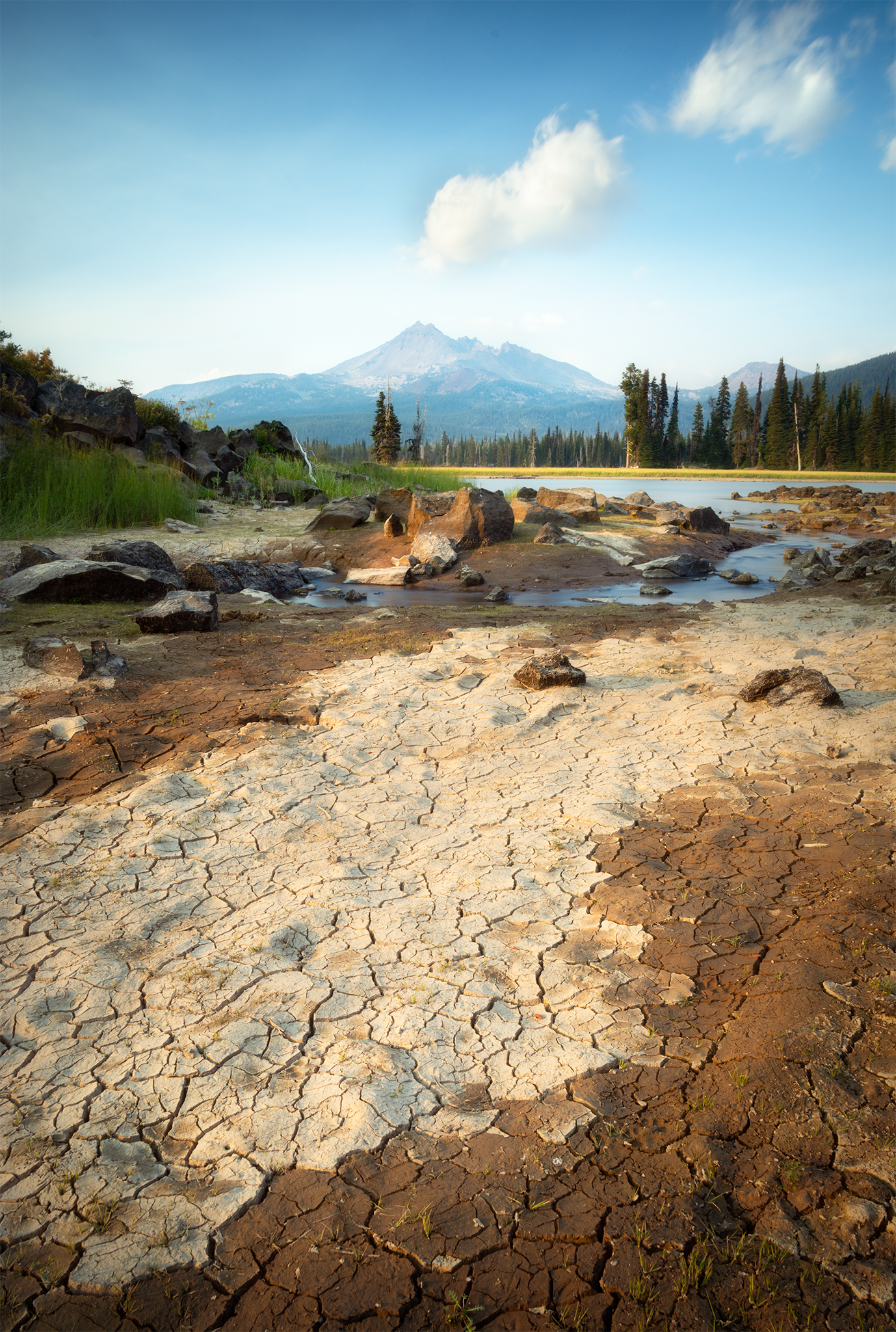 _DSC0919.png