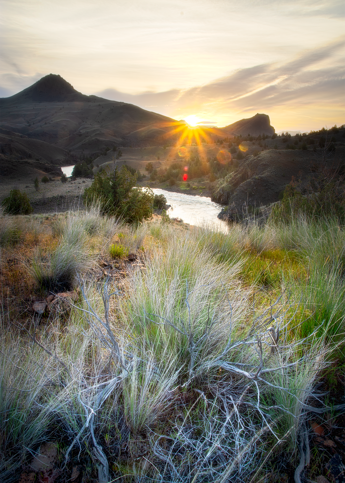 _DSC5162-hdr-ort.png