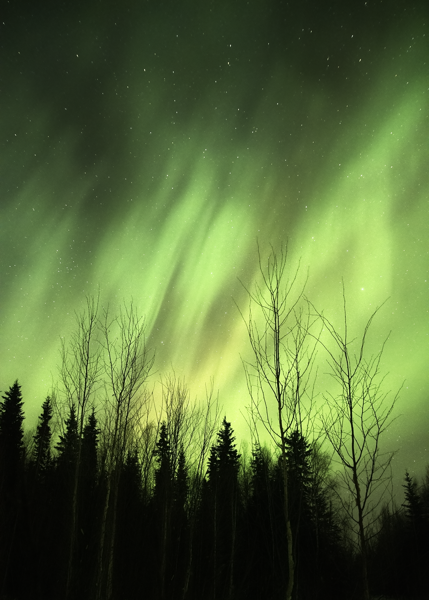 _DSC2030-2.png