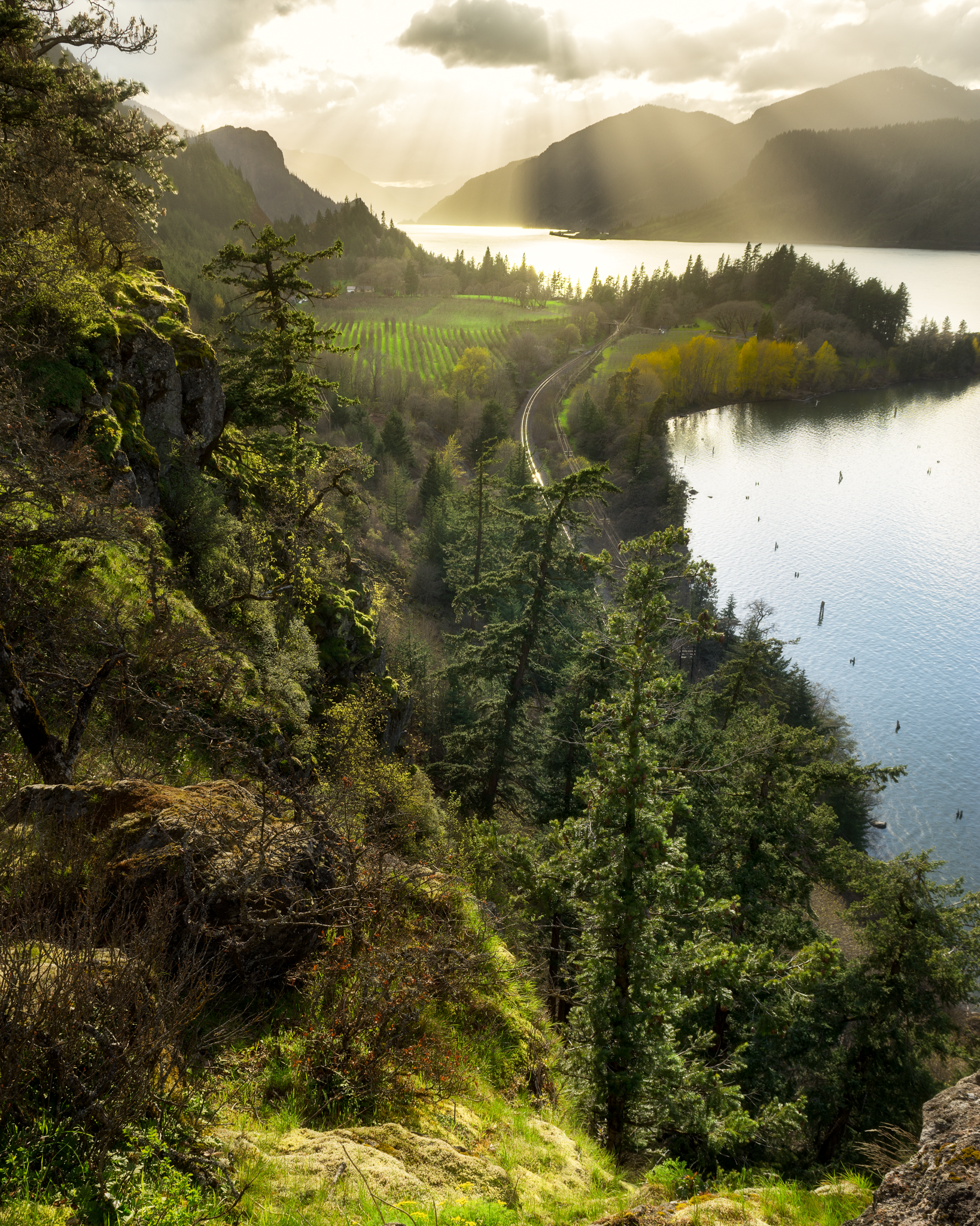 _DSC2806-2.png