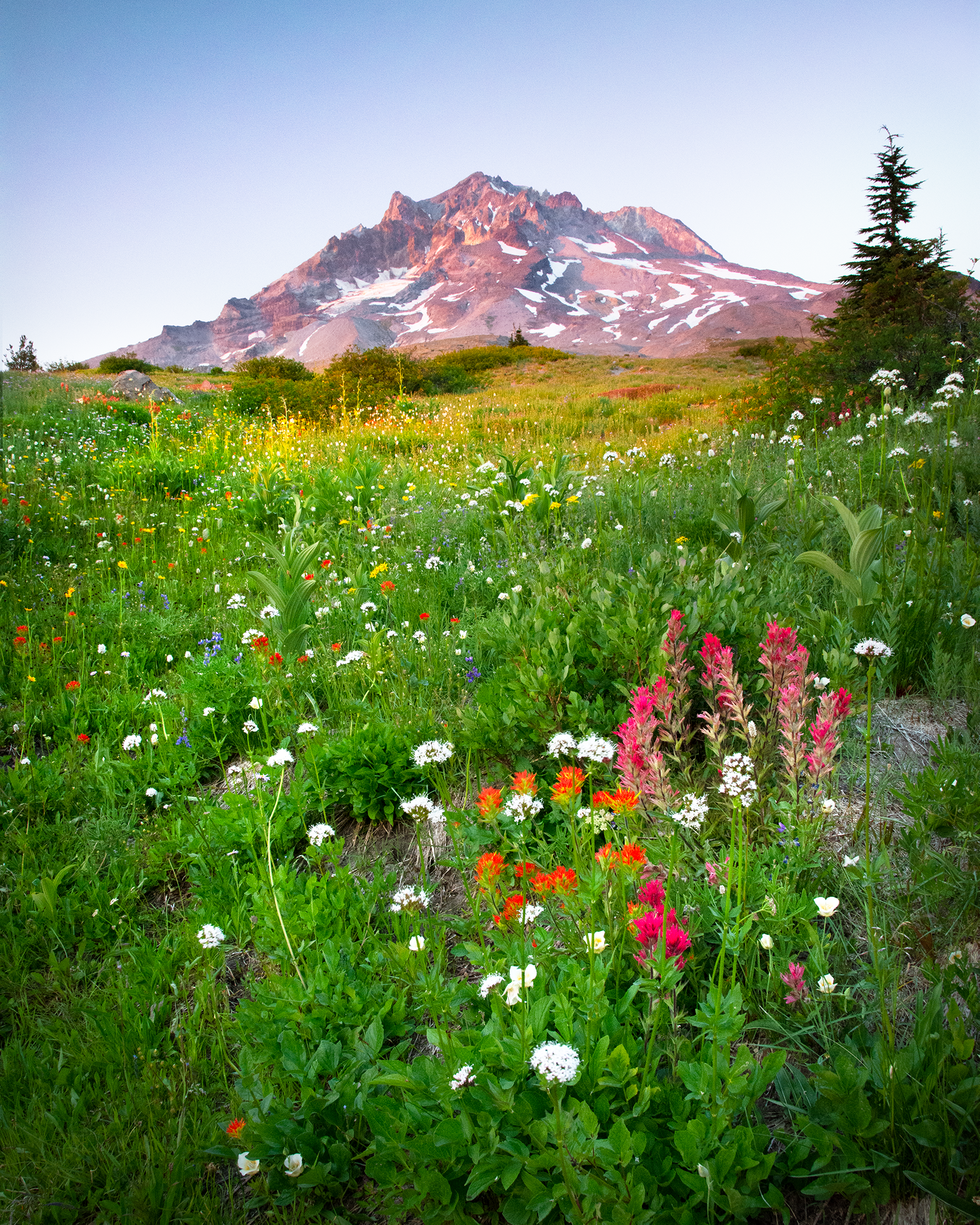 _DSC0843-2.png