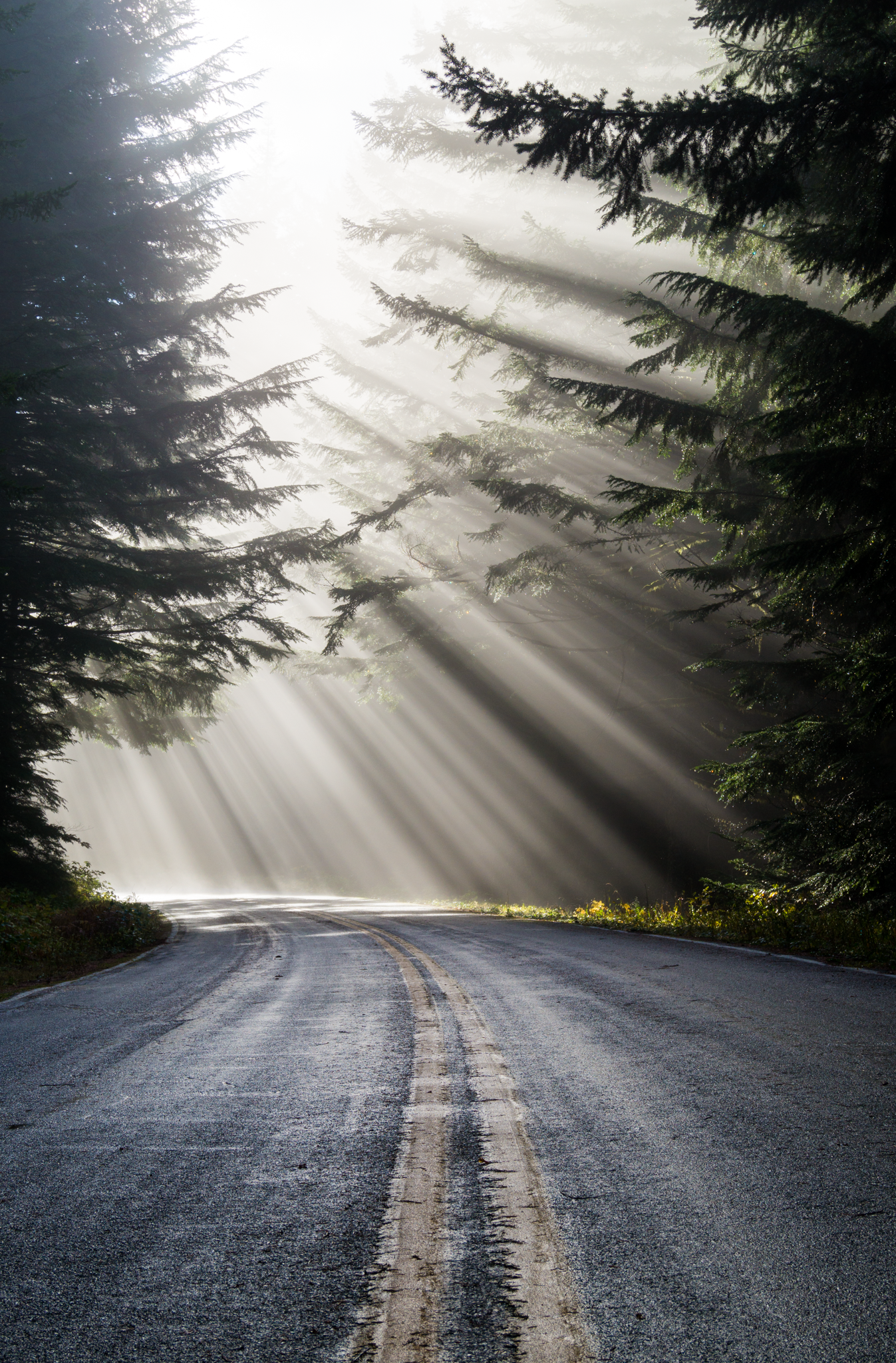 Road to Heaven.png