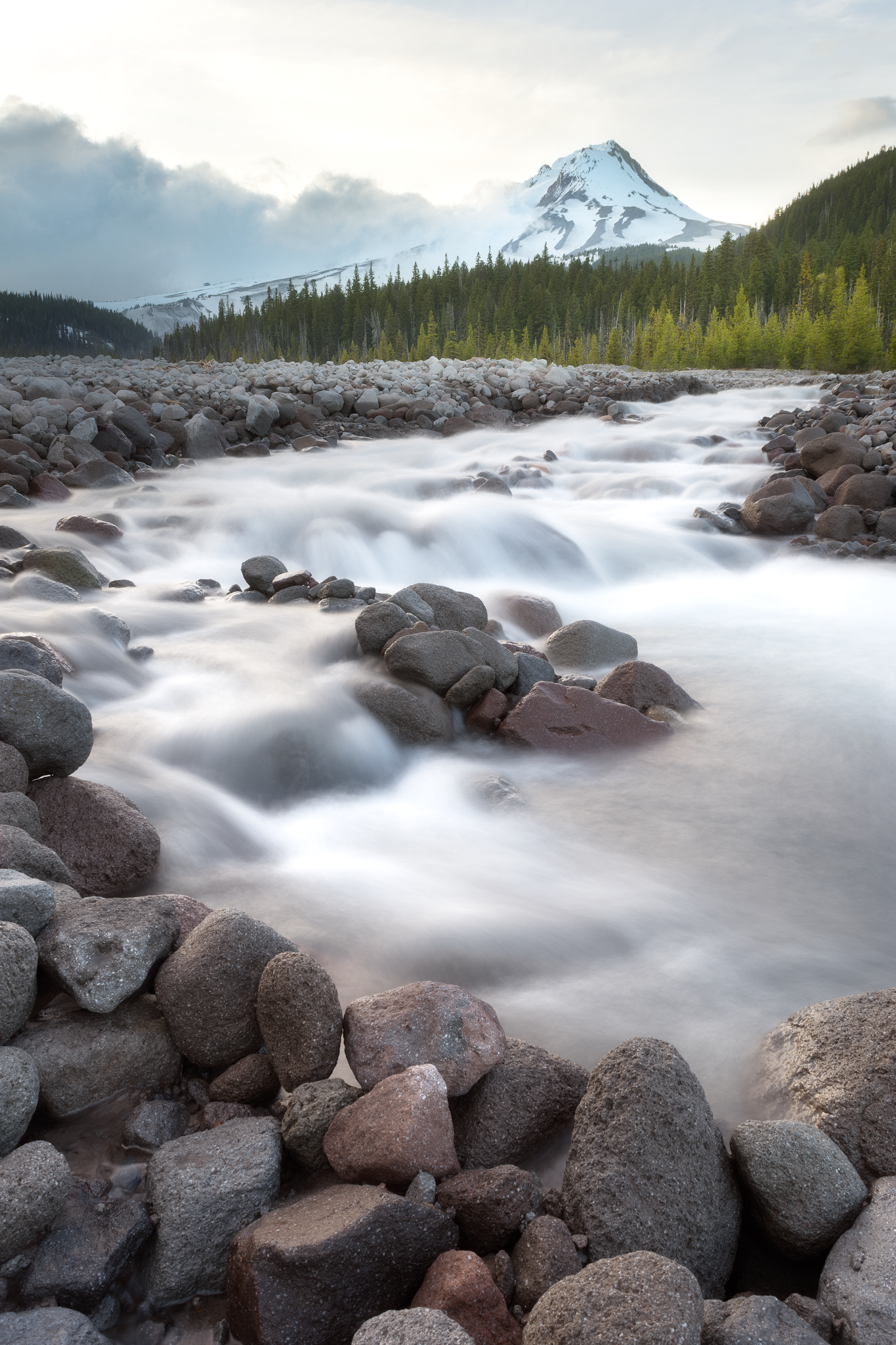 _DSC5735-orton.png