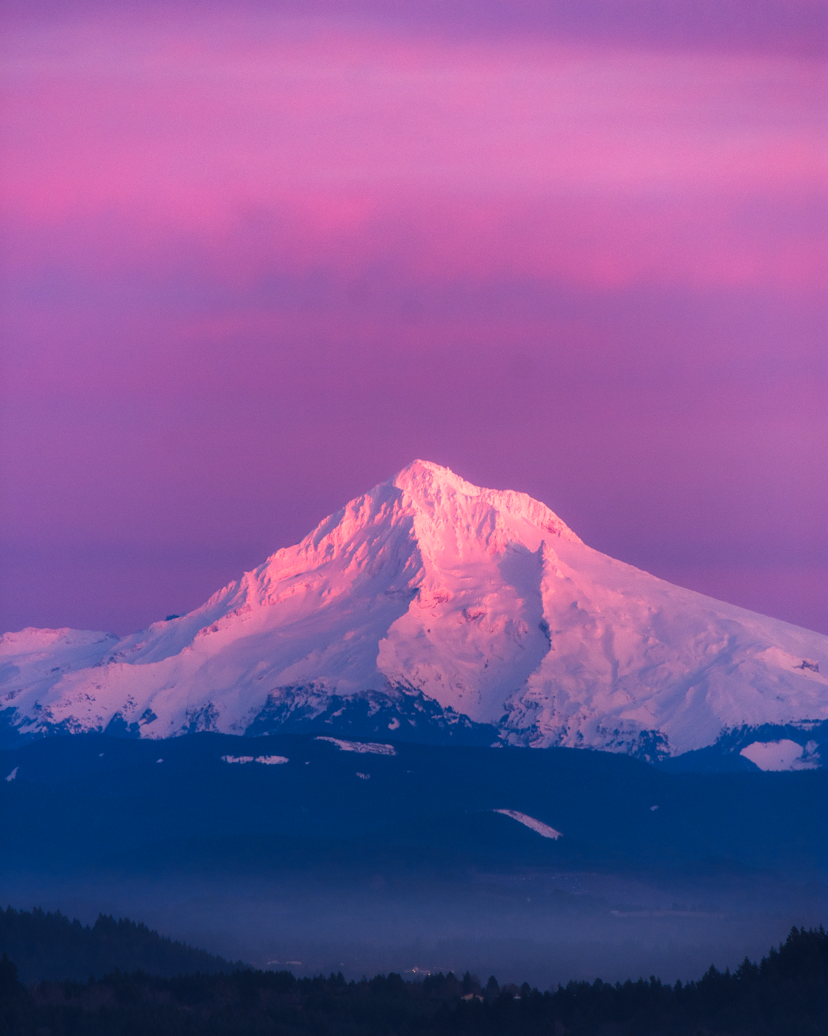 Pink mountain majesty.png