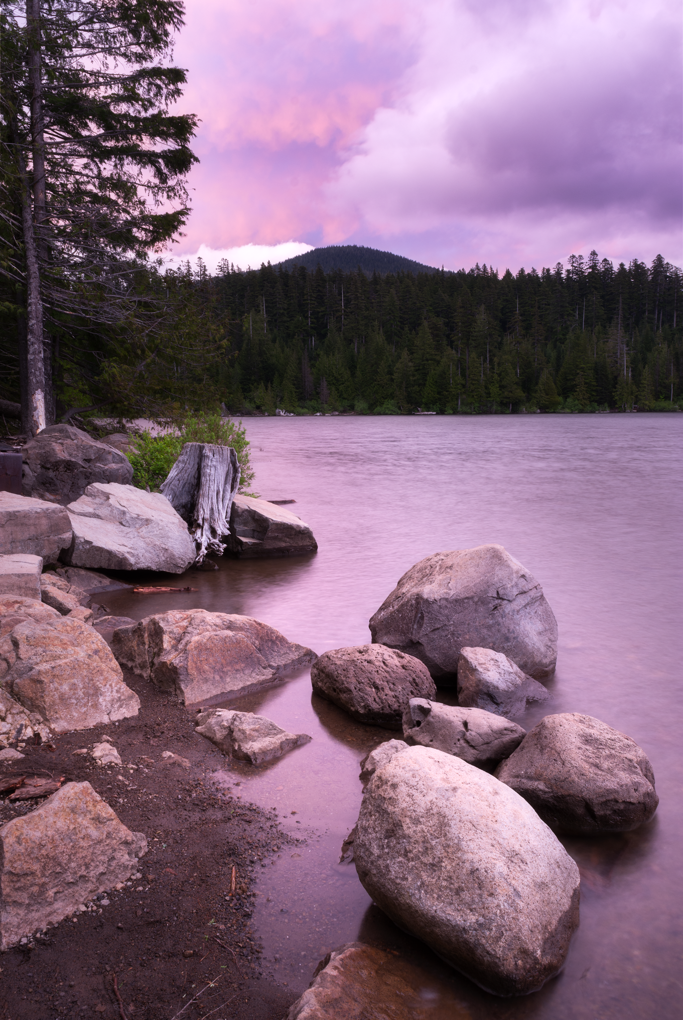 _DSC5950-orton.png