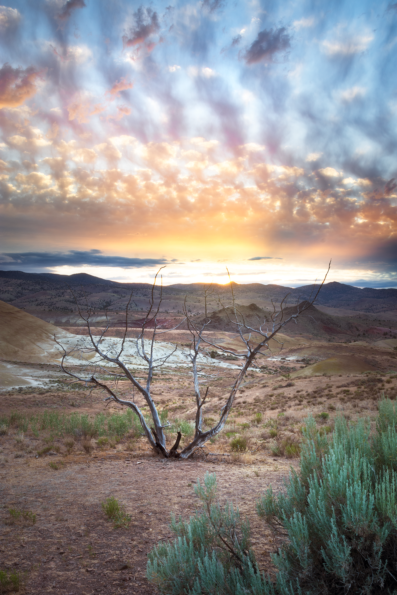 _DSC0478-Edit.png