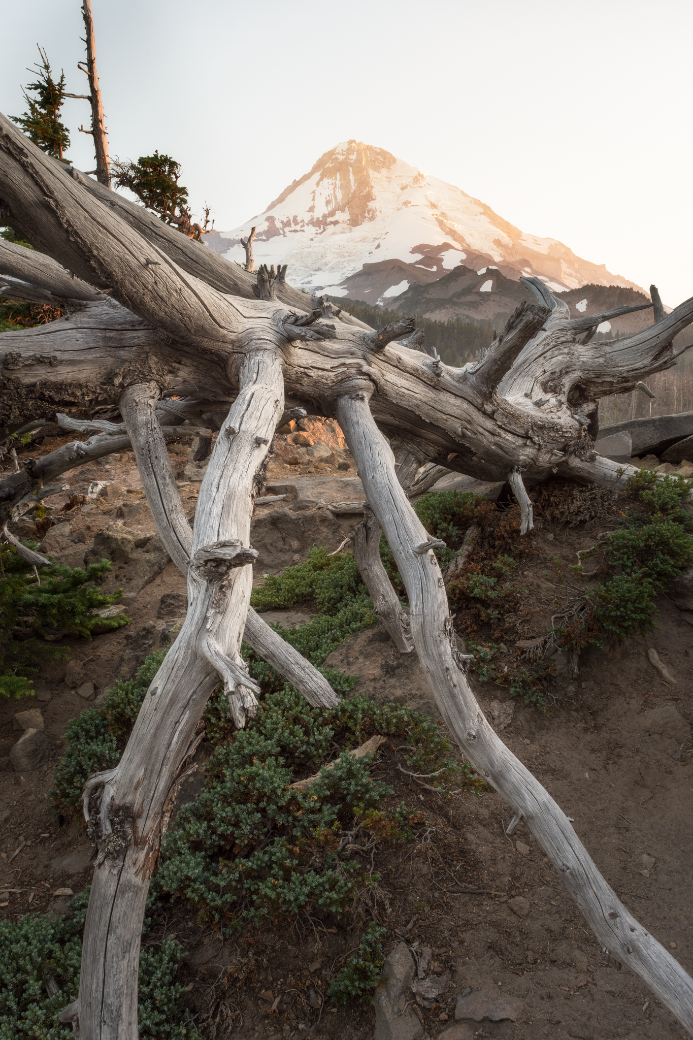 _DSC6997.png