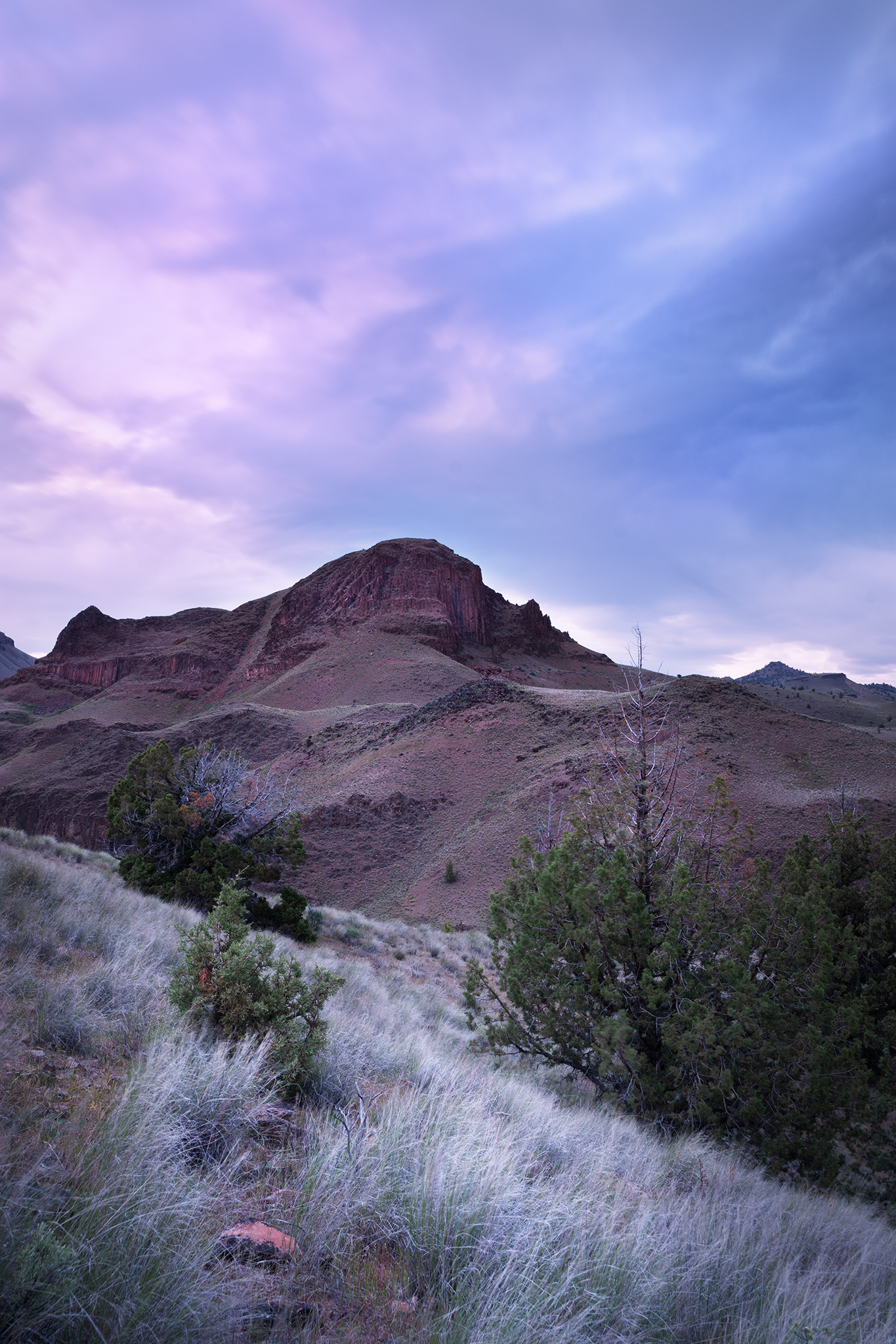 _DSC5118.png
