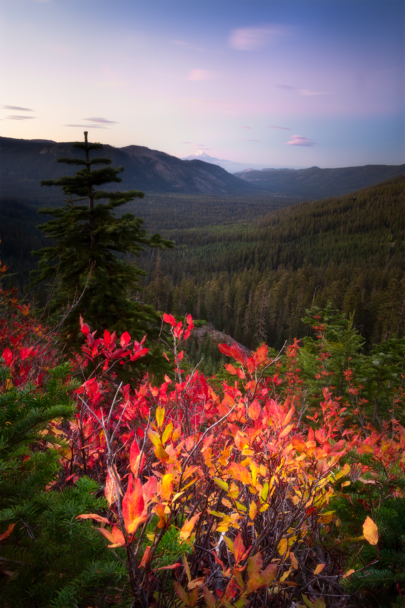 _DSC1414-2.png
