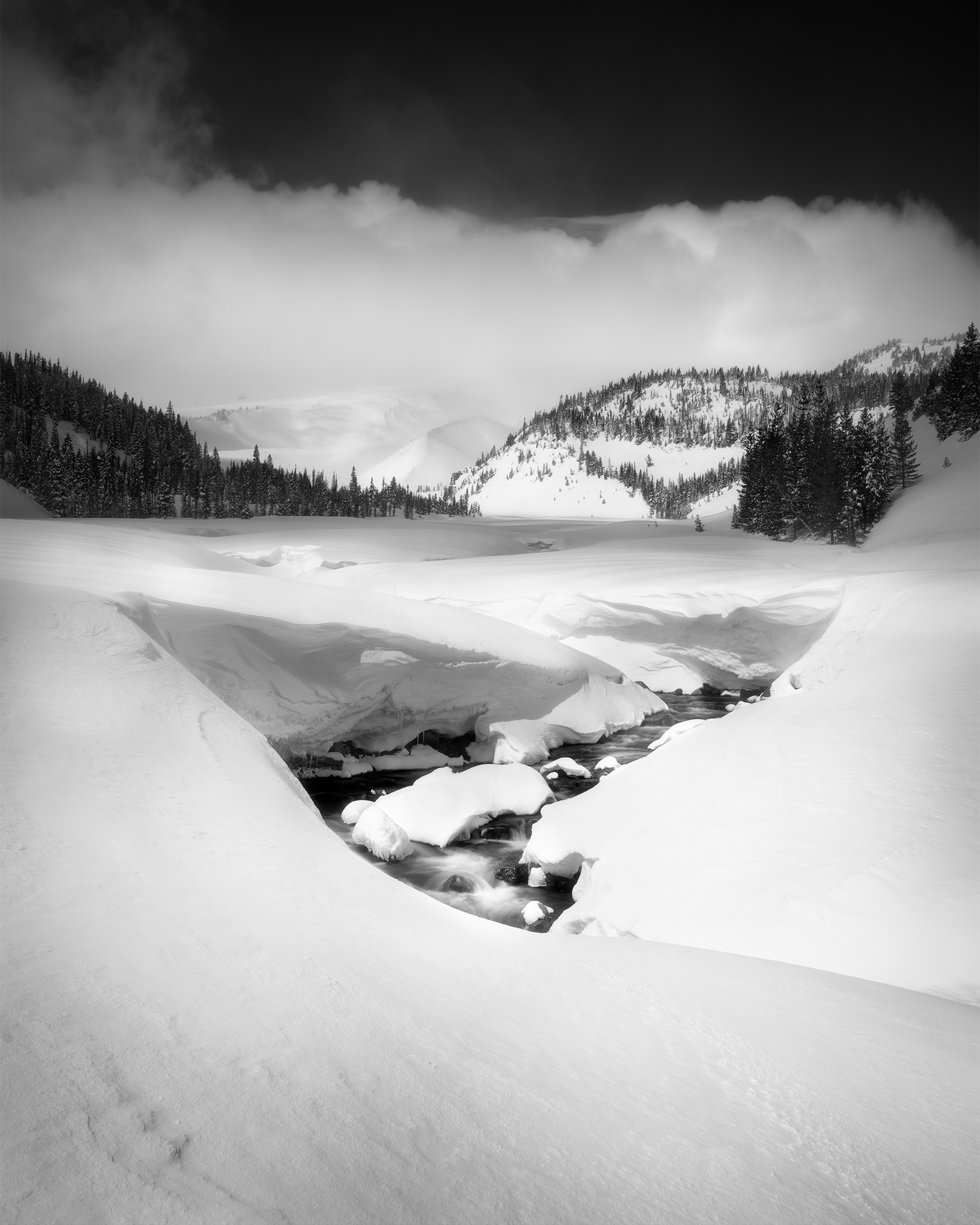 _DSC4578.png
