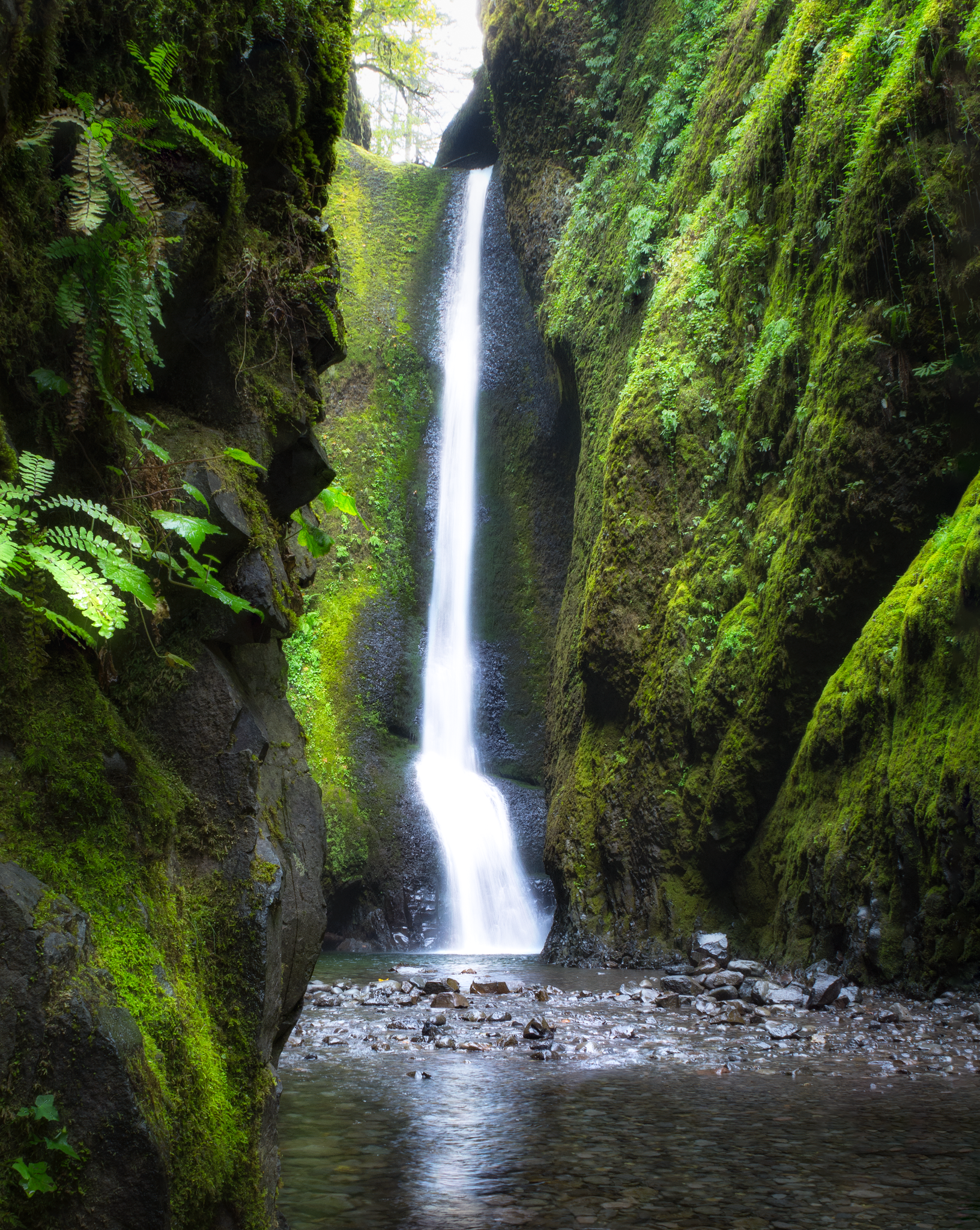 DSC_8423-Edit.png