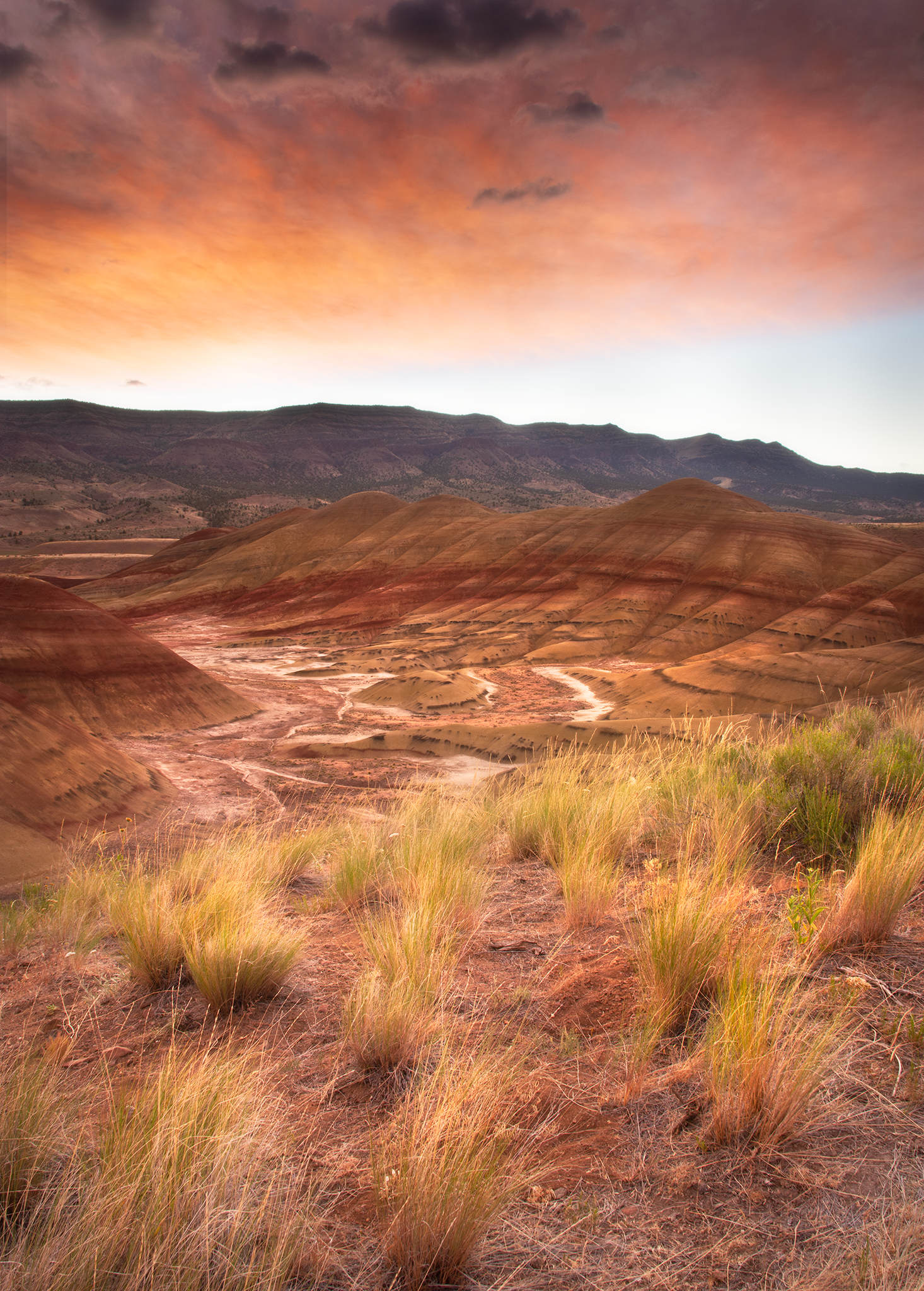 _DSC0492.png