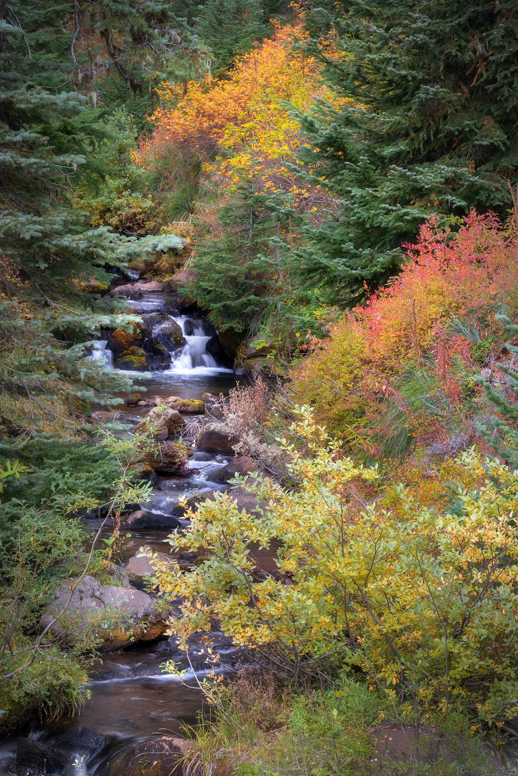_DSC0115-2.png