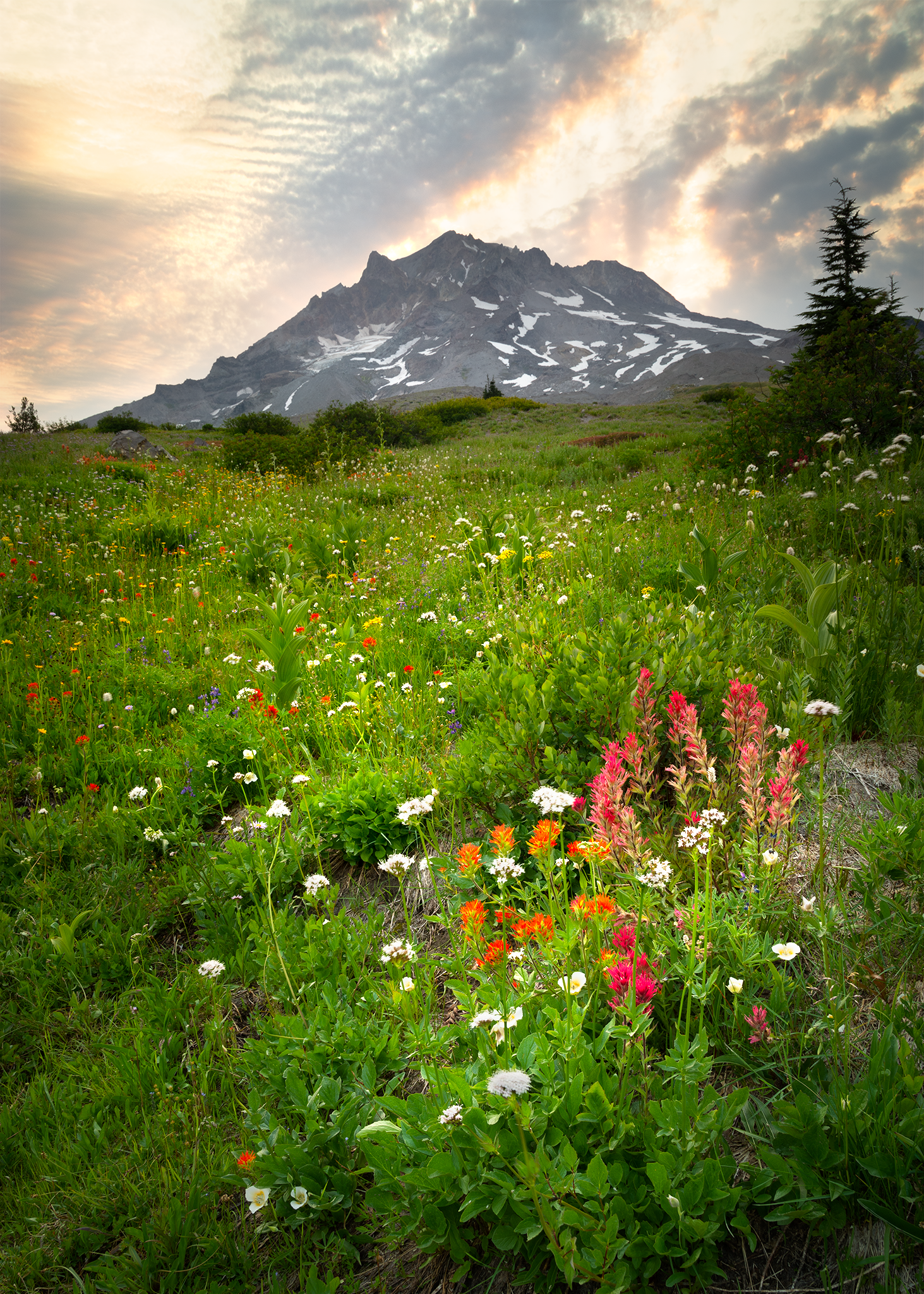 _DSC0878.png