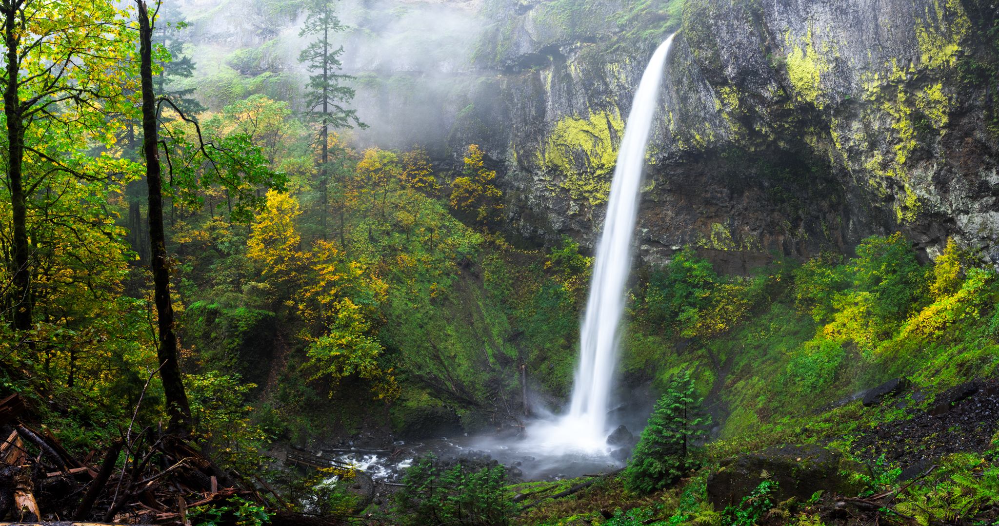 DSC_9791-Pano.png