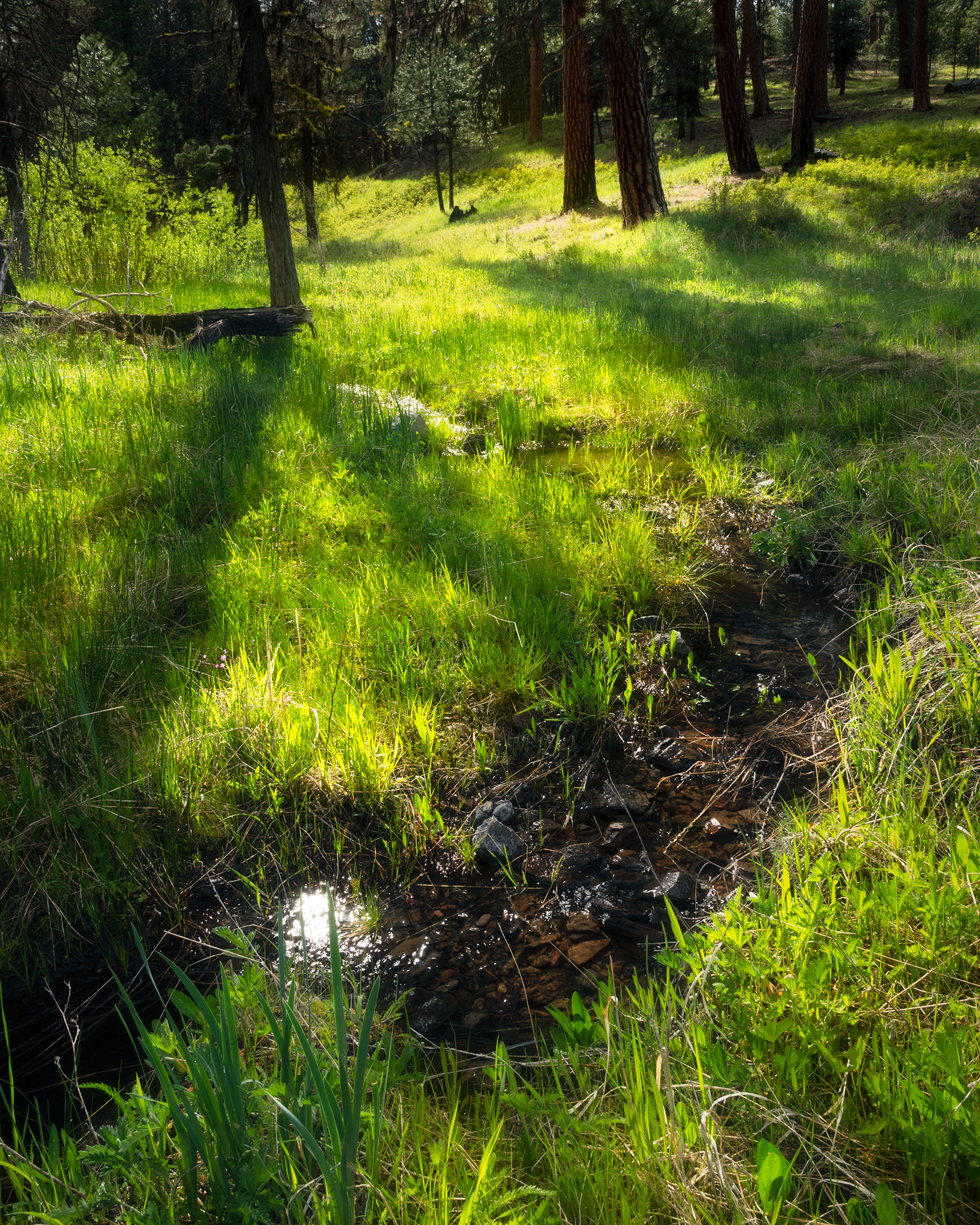_DSC0206.png