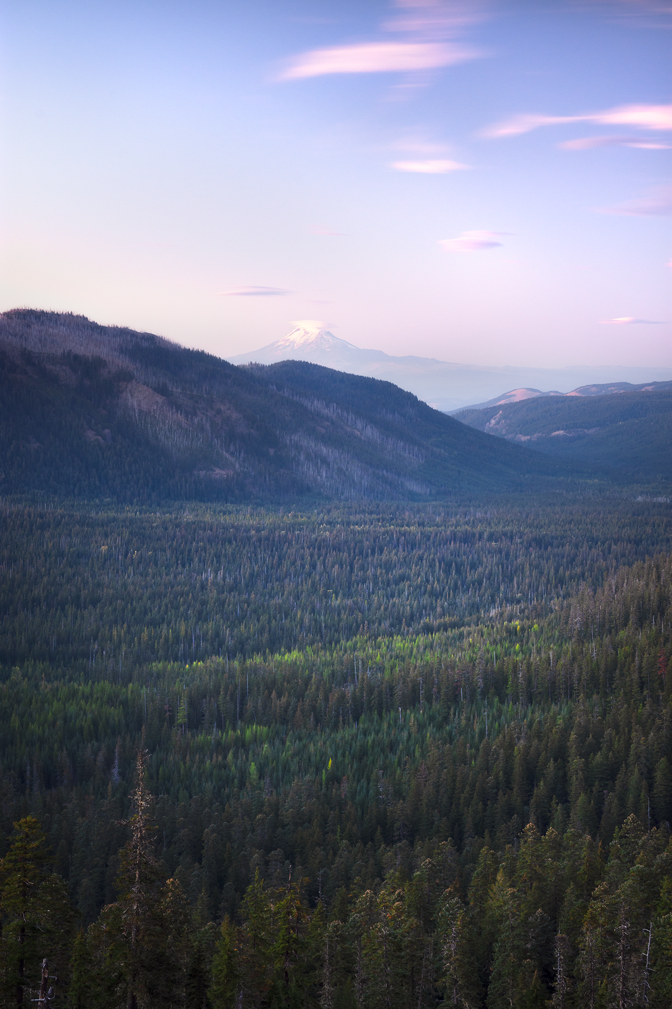 _DSC1419.png