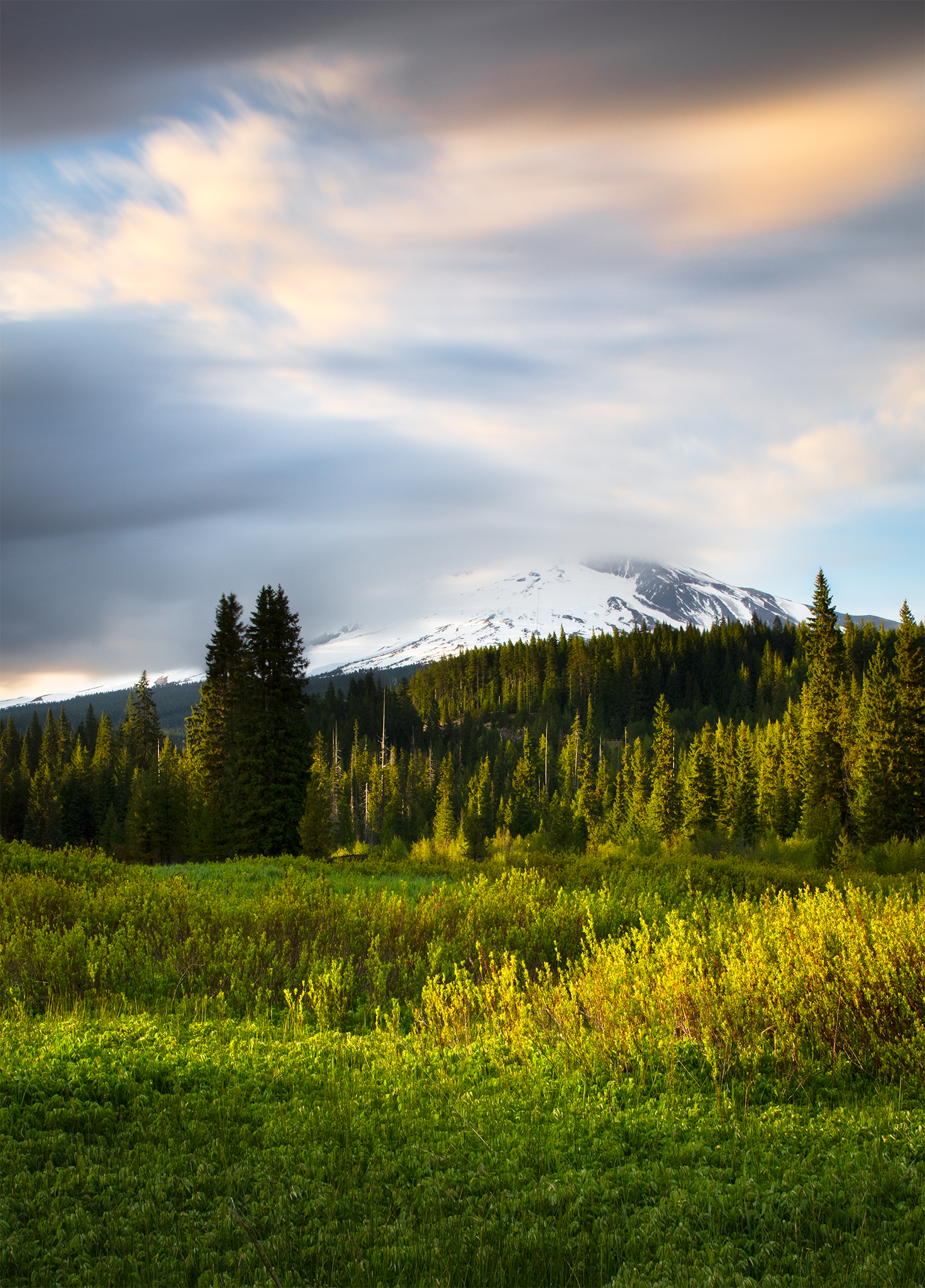 _DSC0327.png