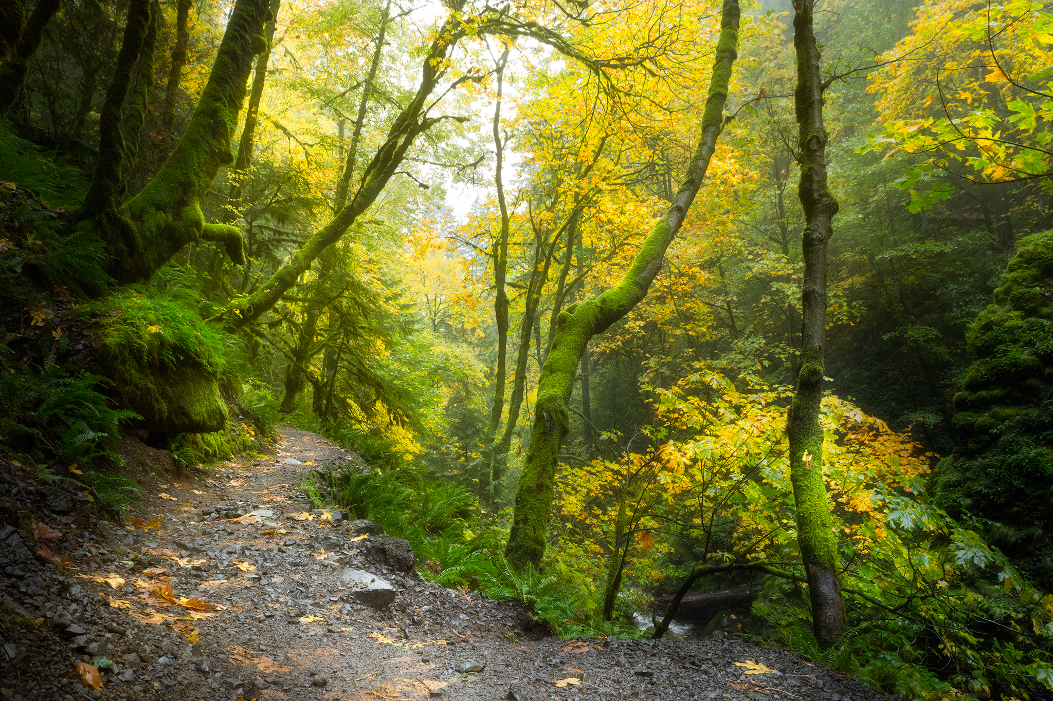 DSC_9862-ort-2.png