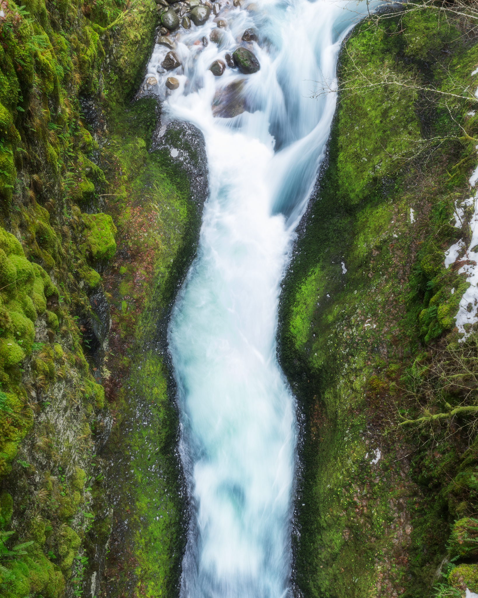 DSC_1621-2.png