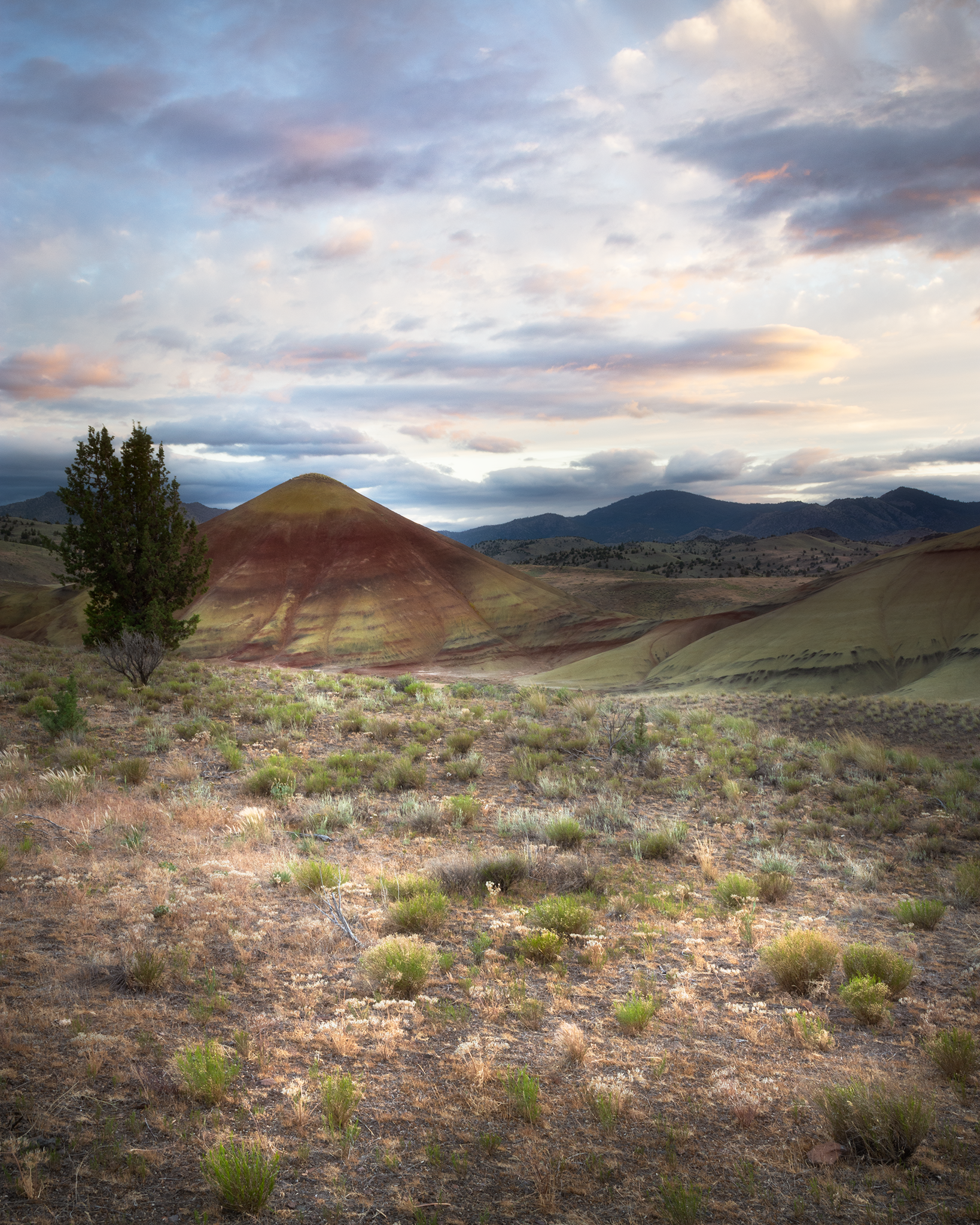 _DSC0474-Edit.png