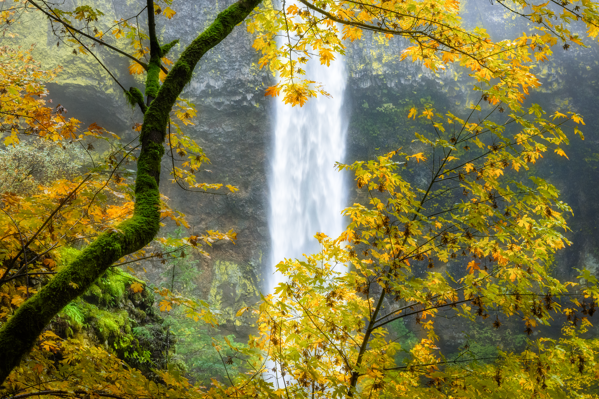 DSC_9895-2.png