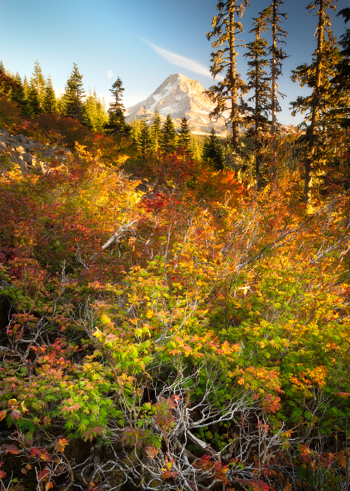 _DSC1235-2.png