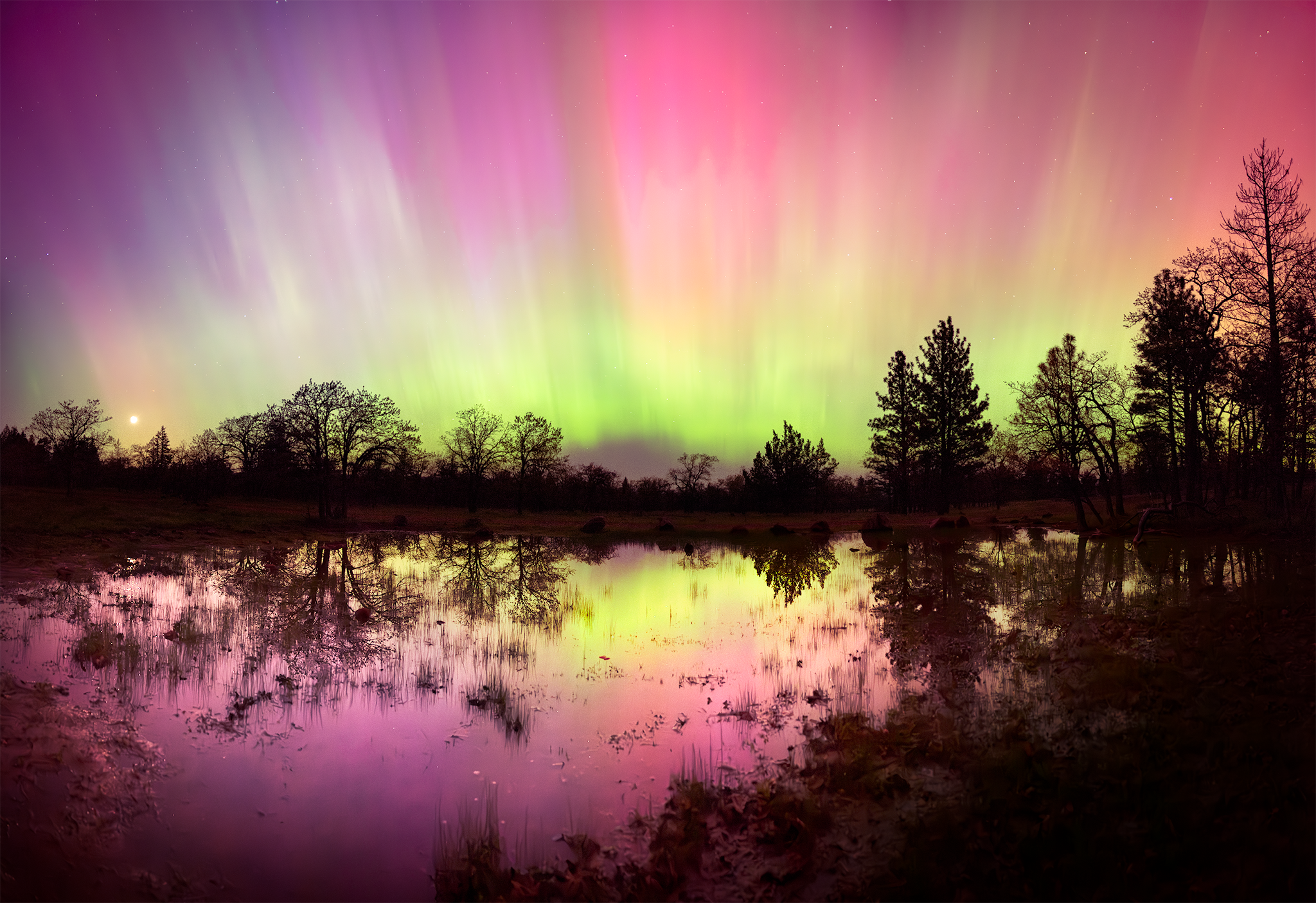 _DSC5290-Grand display.png