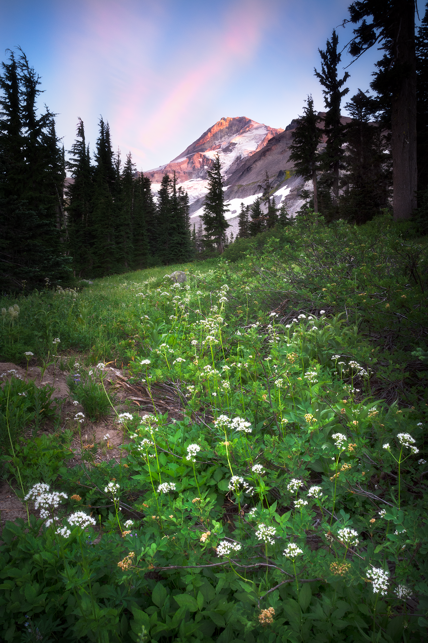 _DSC0688.png