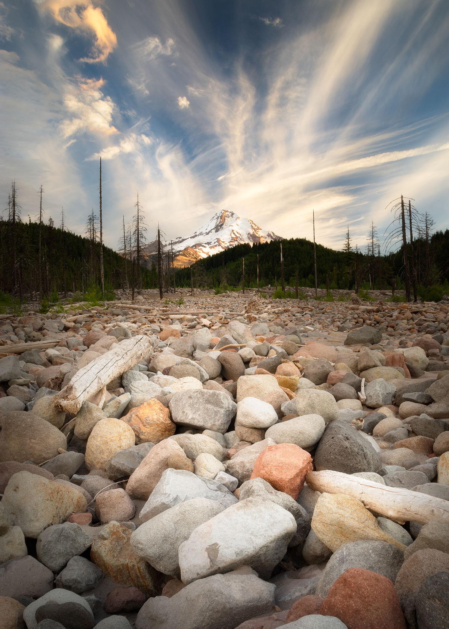 _DSC2864.png