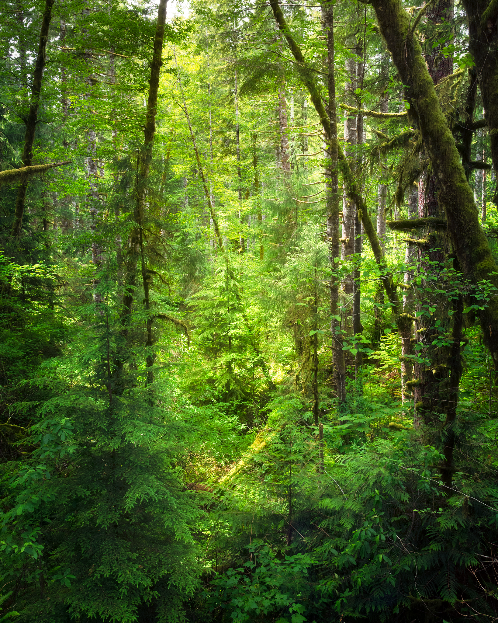 _DSC0557-2.png