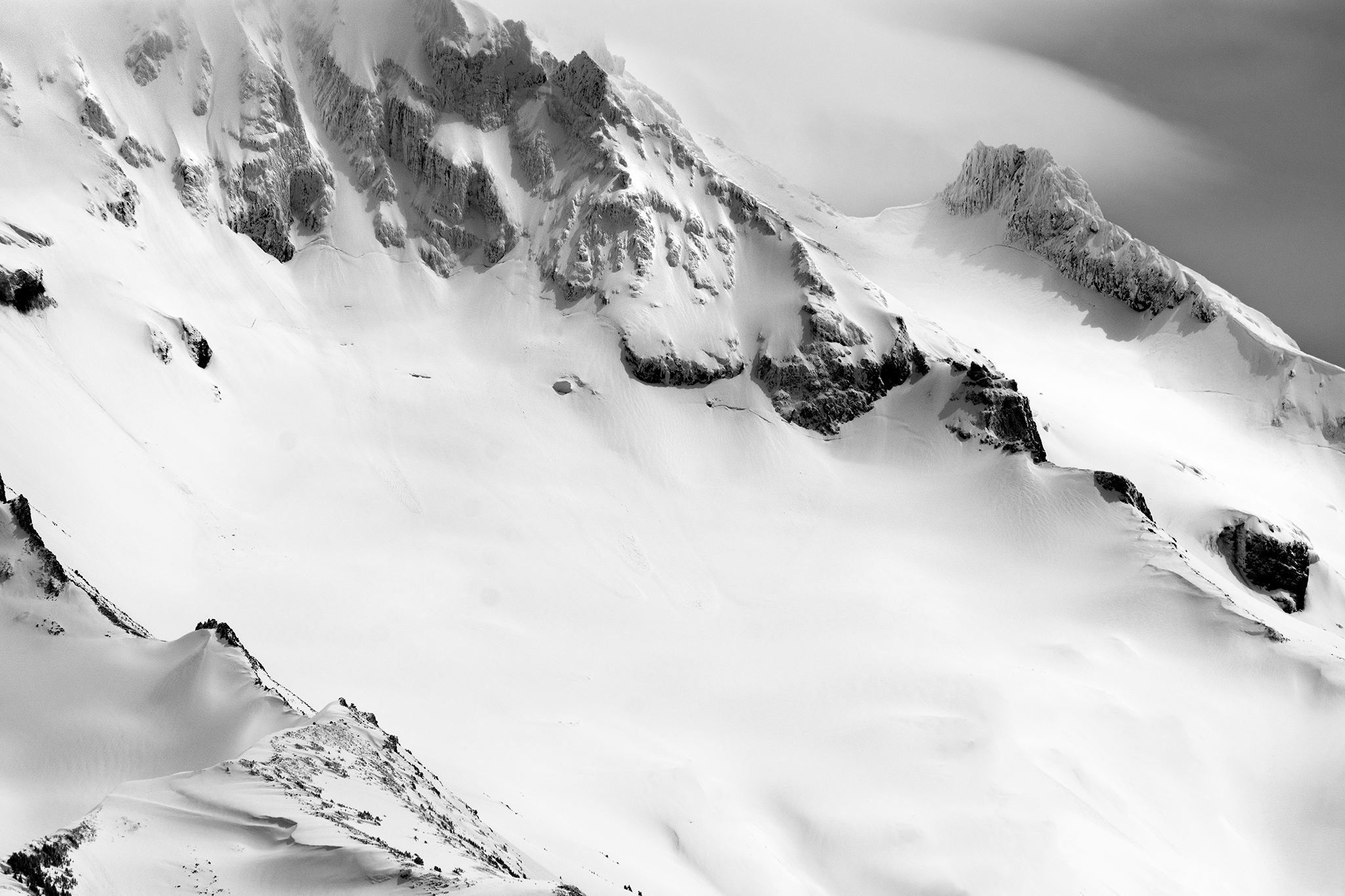 _DSC3494.png