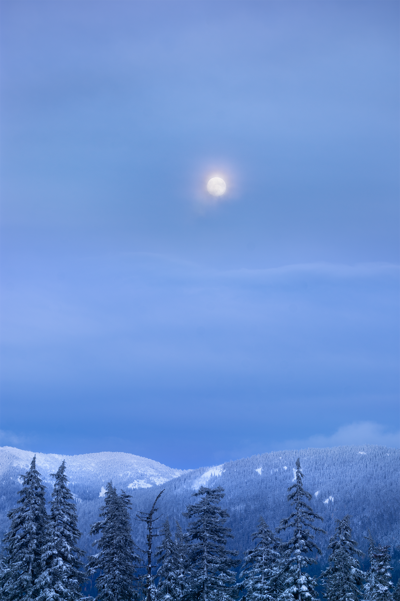 _DSC6034-2.png