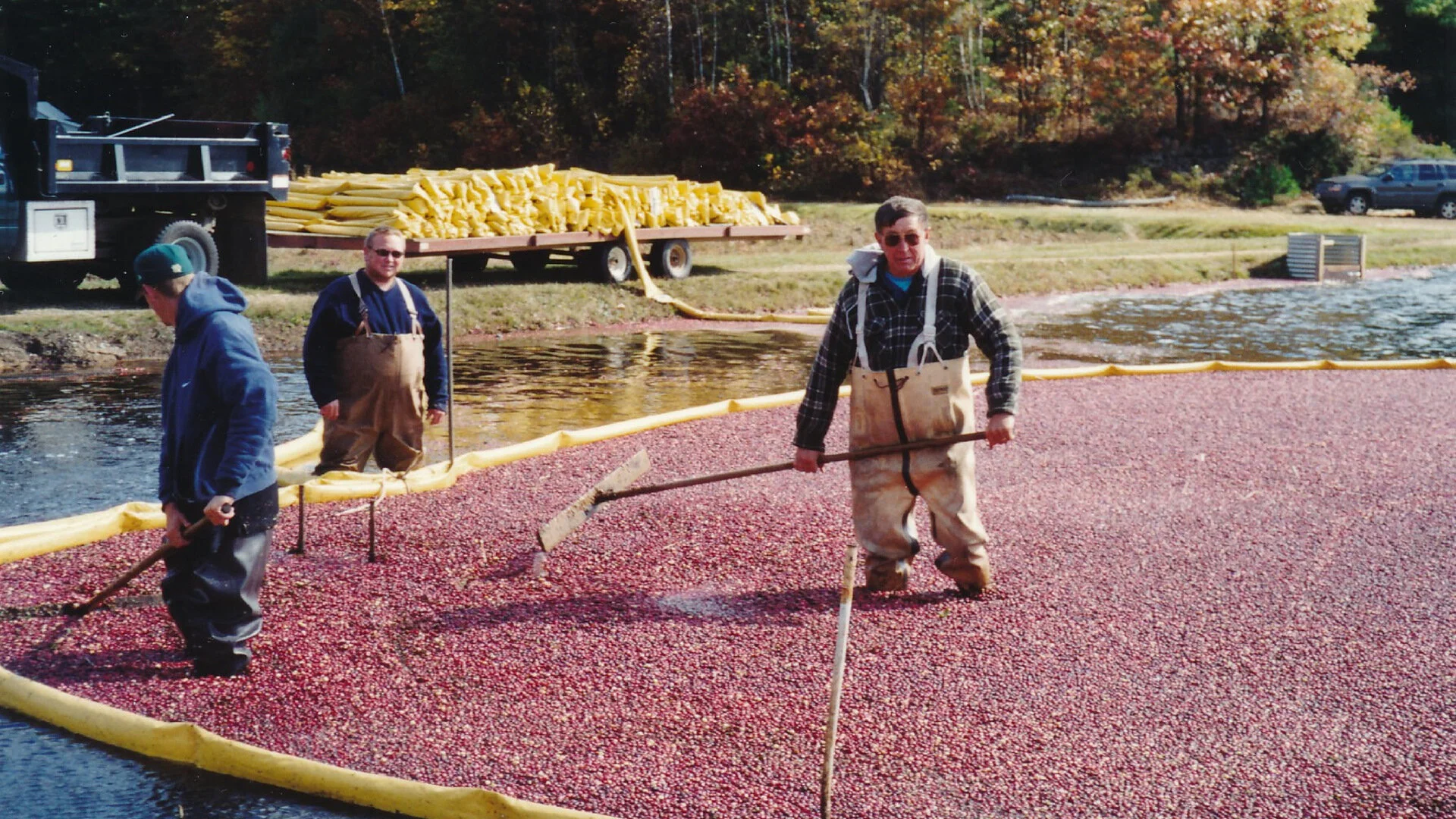 2001_Oct_David_and_Ralph_harvest copy.jpg