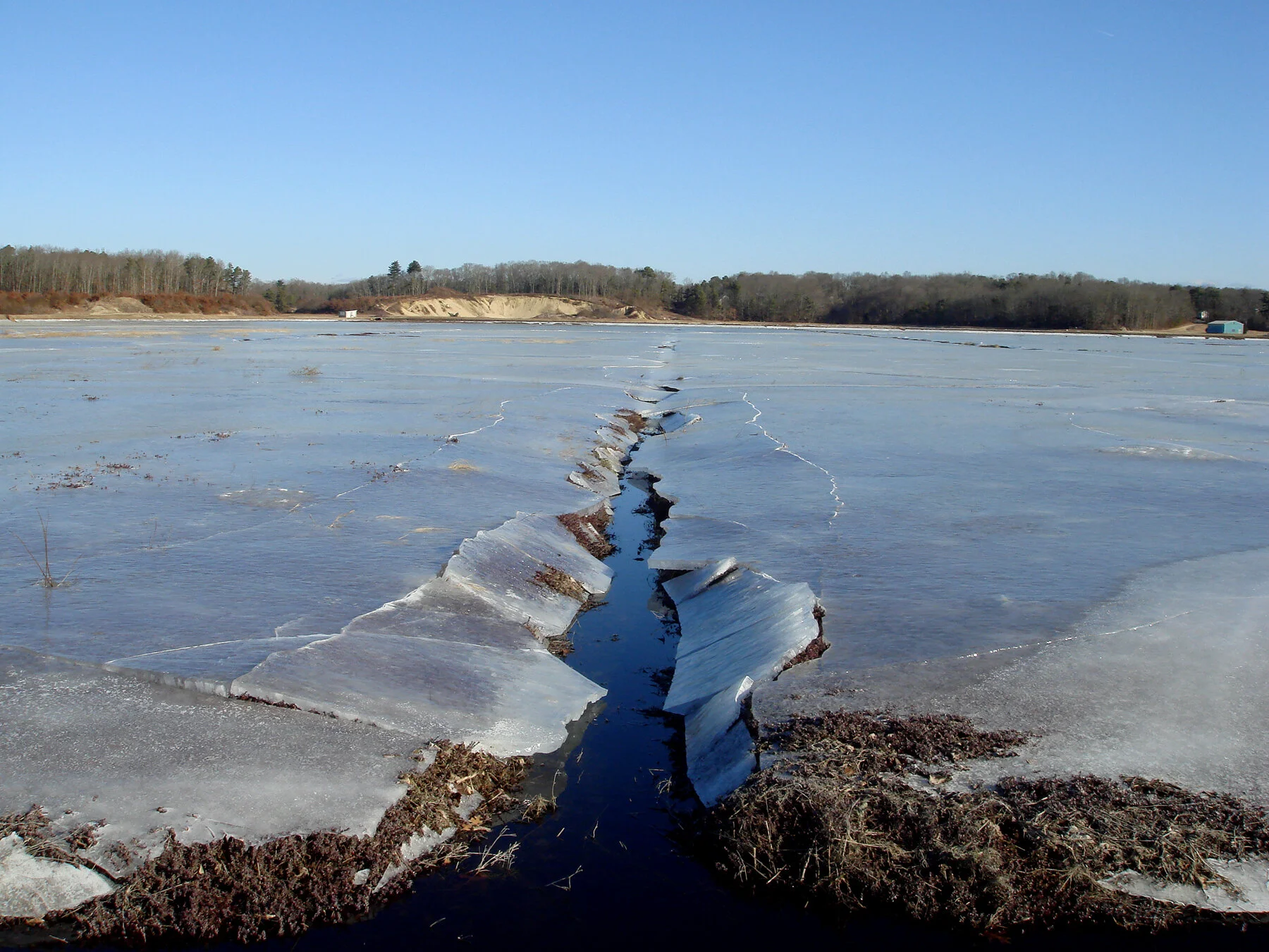2007Feb_IceOnBog_cr_LivingObservatory copy.jpg