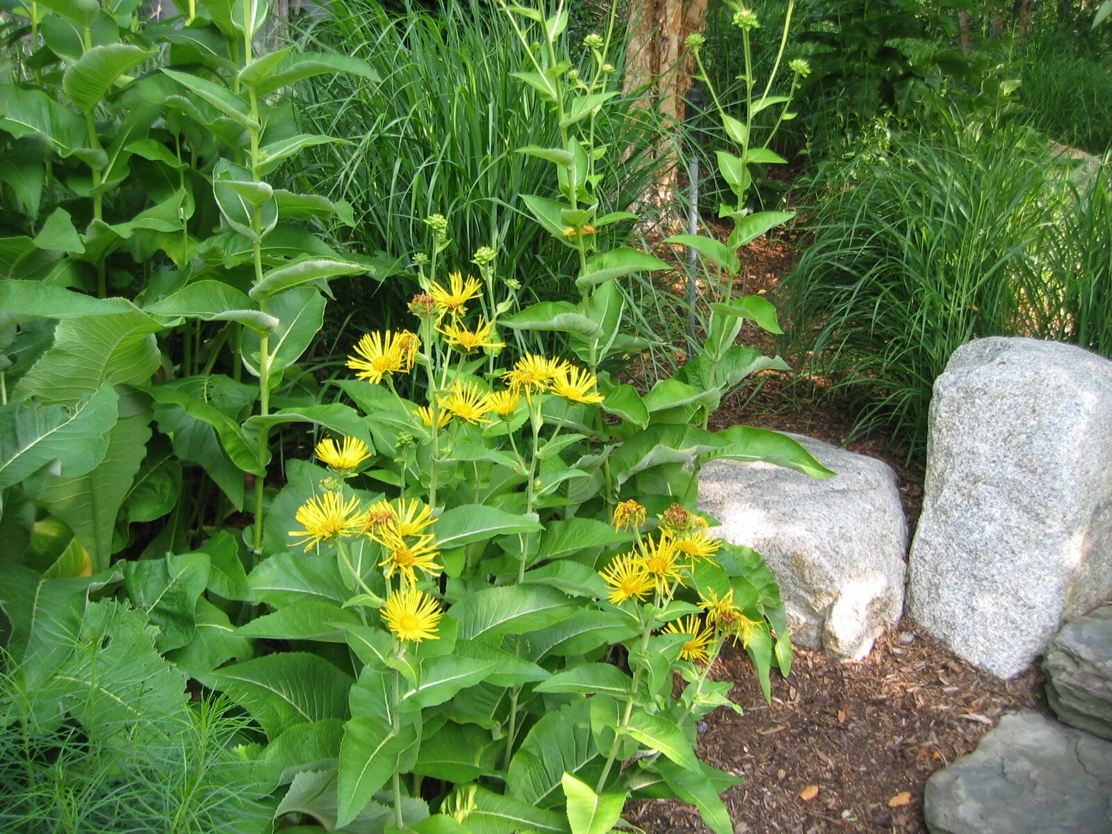 2008_0617_GH_garden_detail_IMG_0134.jpg