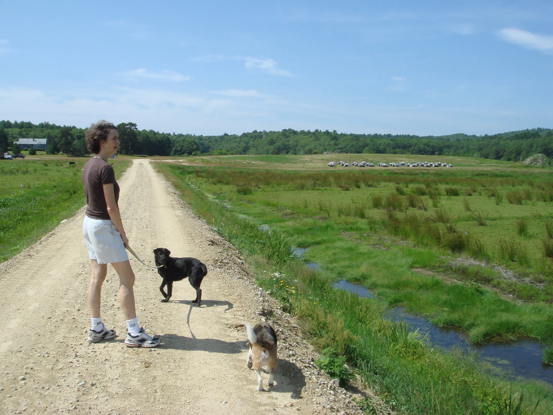 2007_0713_Caroline_and_rascal_Pause_on_berm_between_35_and_32_acre_bogs_cr_LivingObservatory copy.jpg