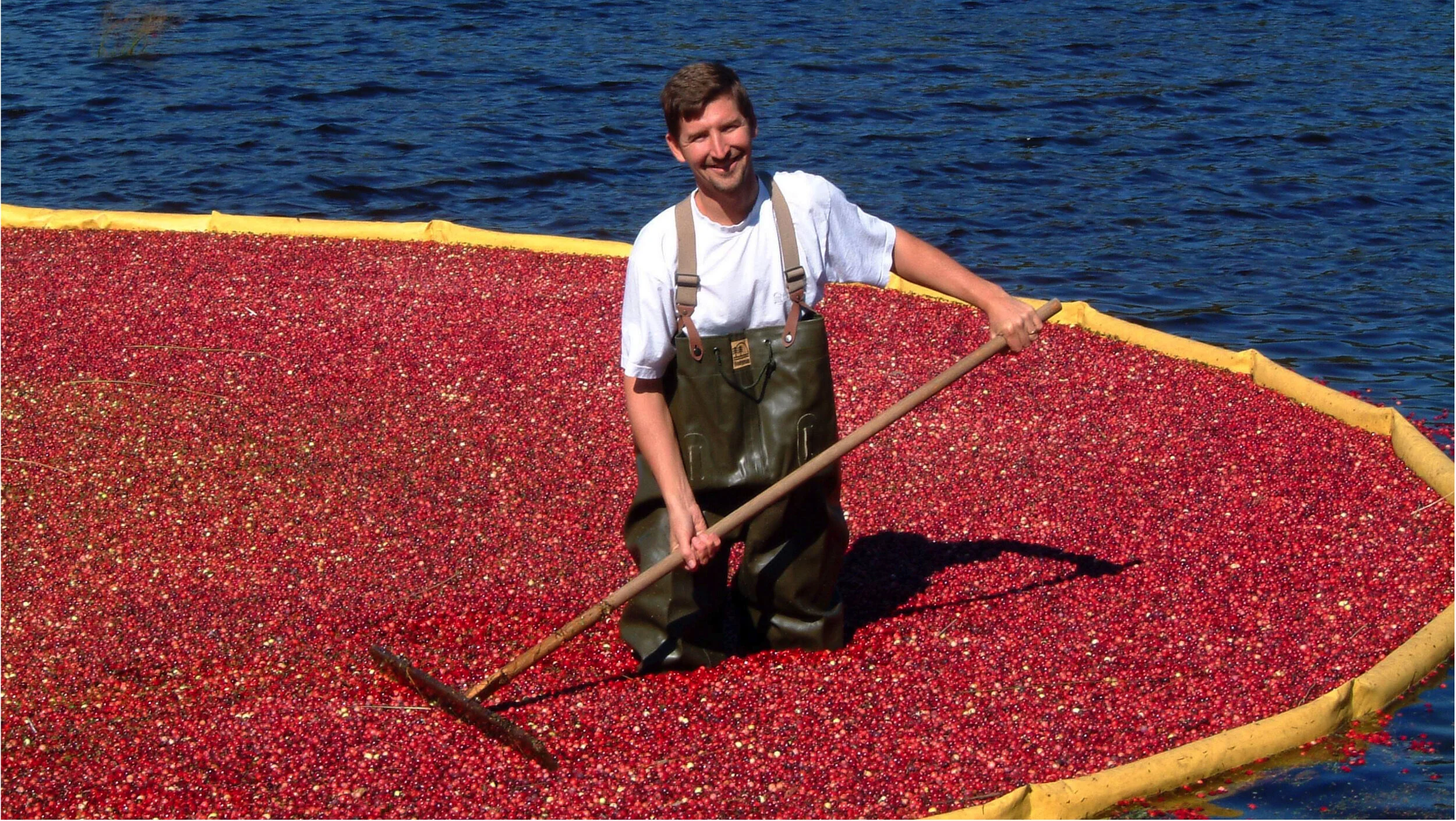 2001_GaryMueller_Harvest_Party_TidmarshWest_cr_LivingObservatory copy.jpg