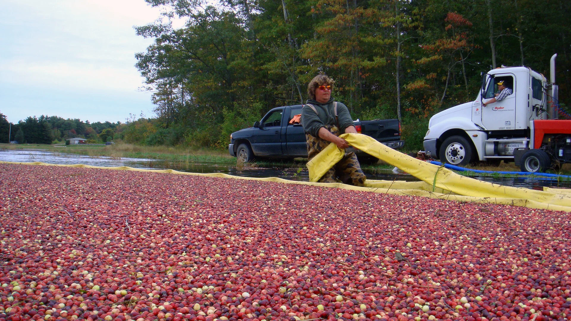 2009_1025_TidW_pulling_boom_DSC05051 copy.jpg