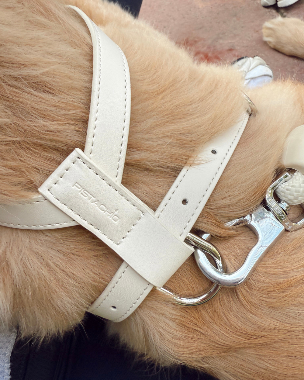 LEO HARNESS BONE 4.PNG