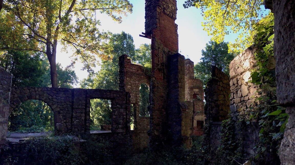 Cornish Estate 2016 - 17.jpeg